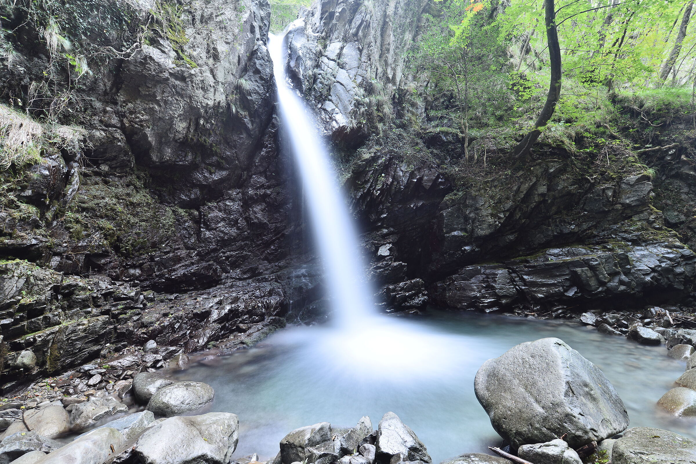 Wild Lunigiana