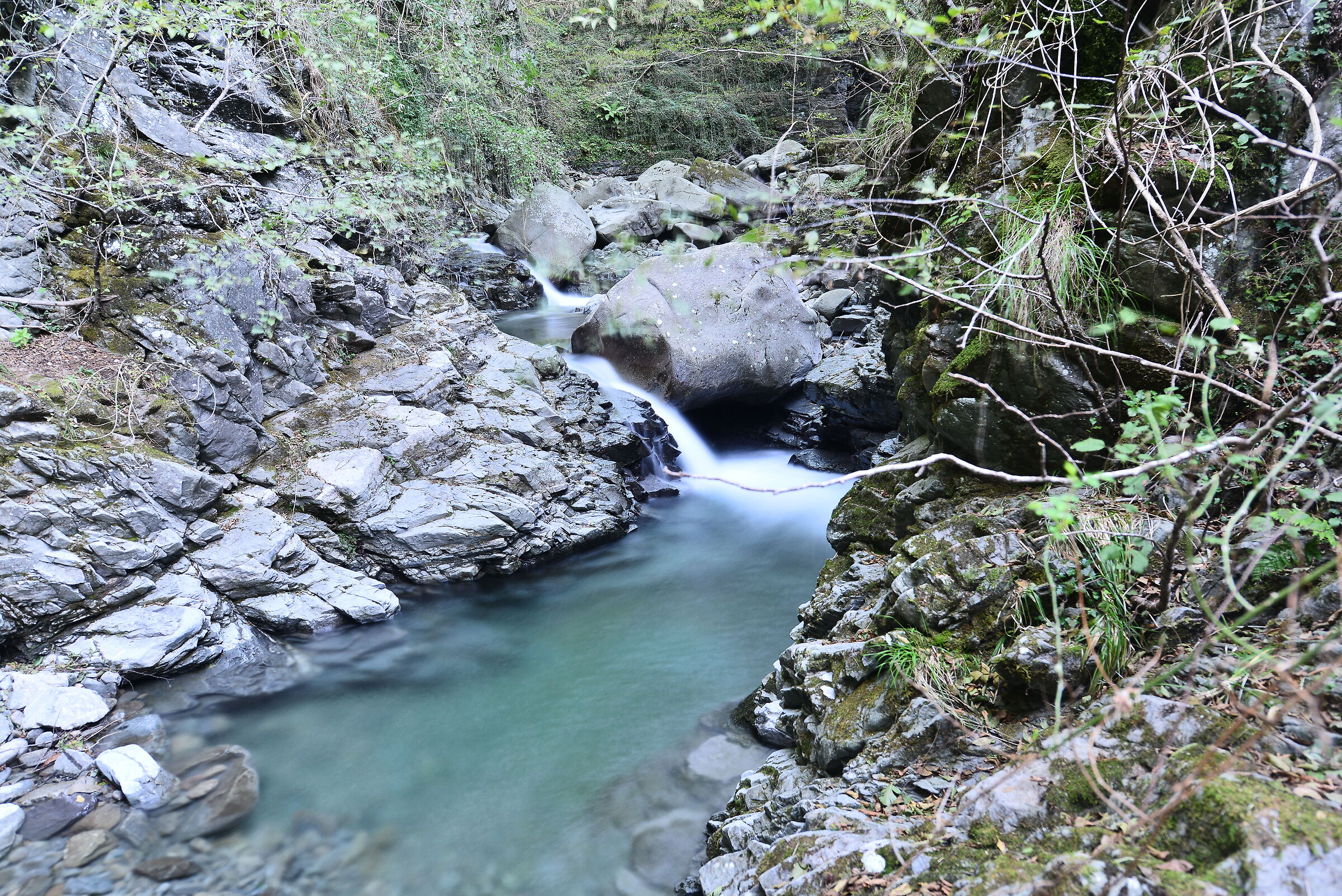 Wild Lunigiana