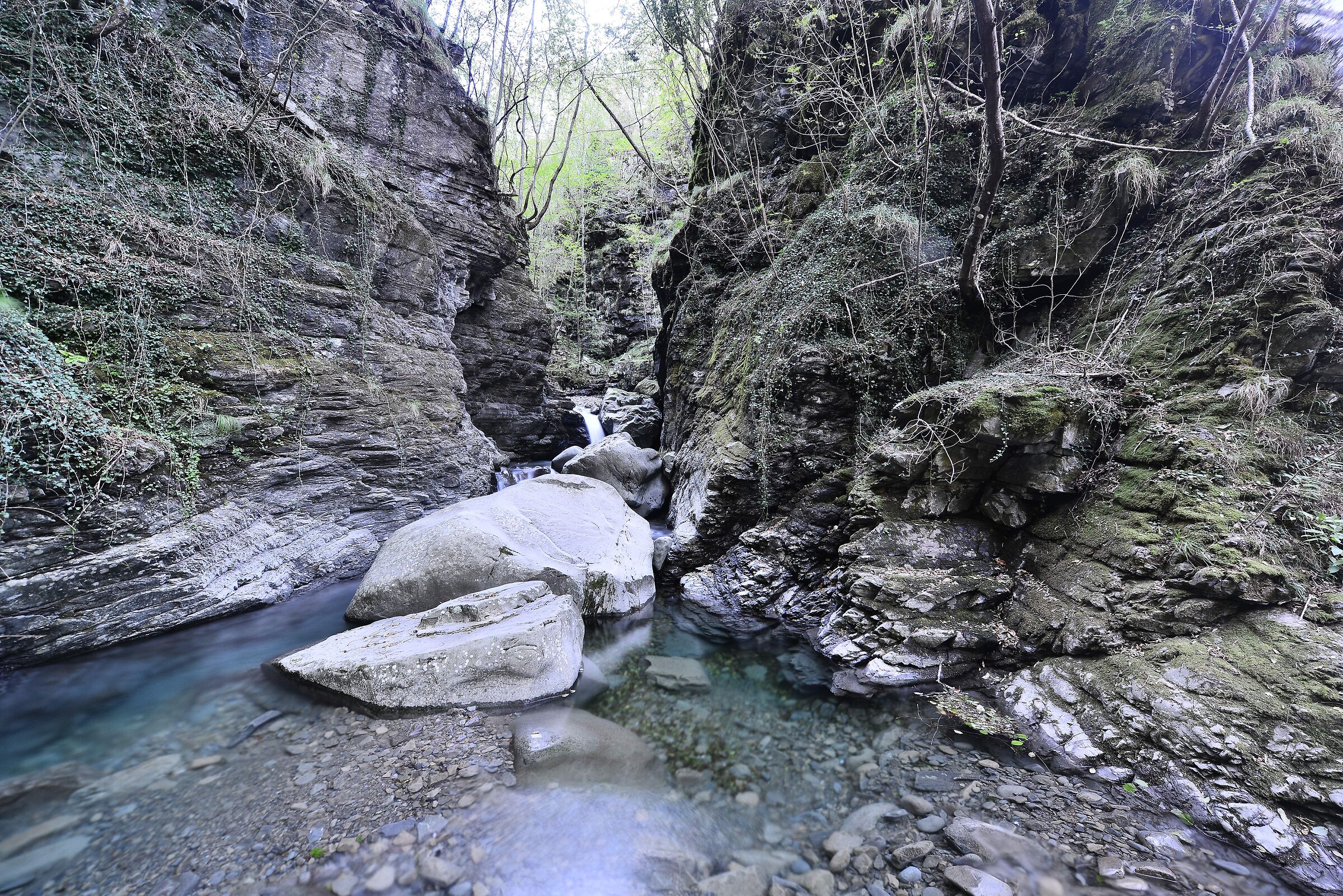 Wild Lunigiana