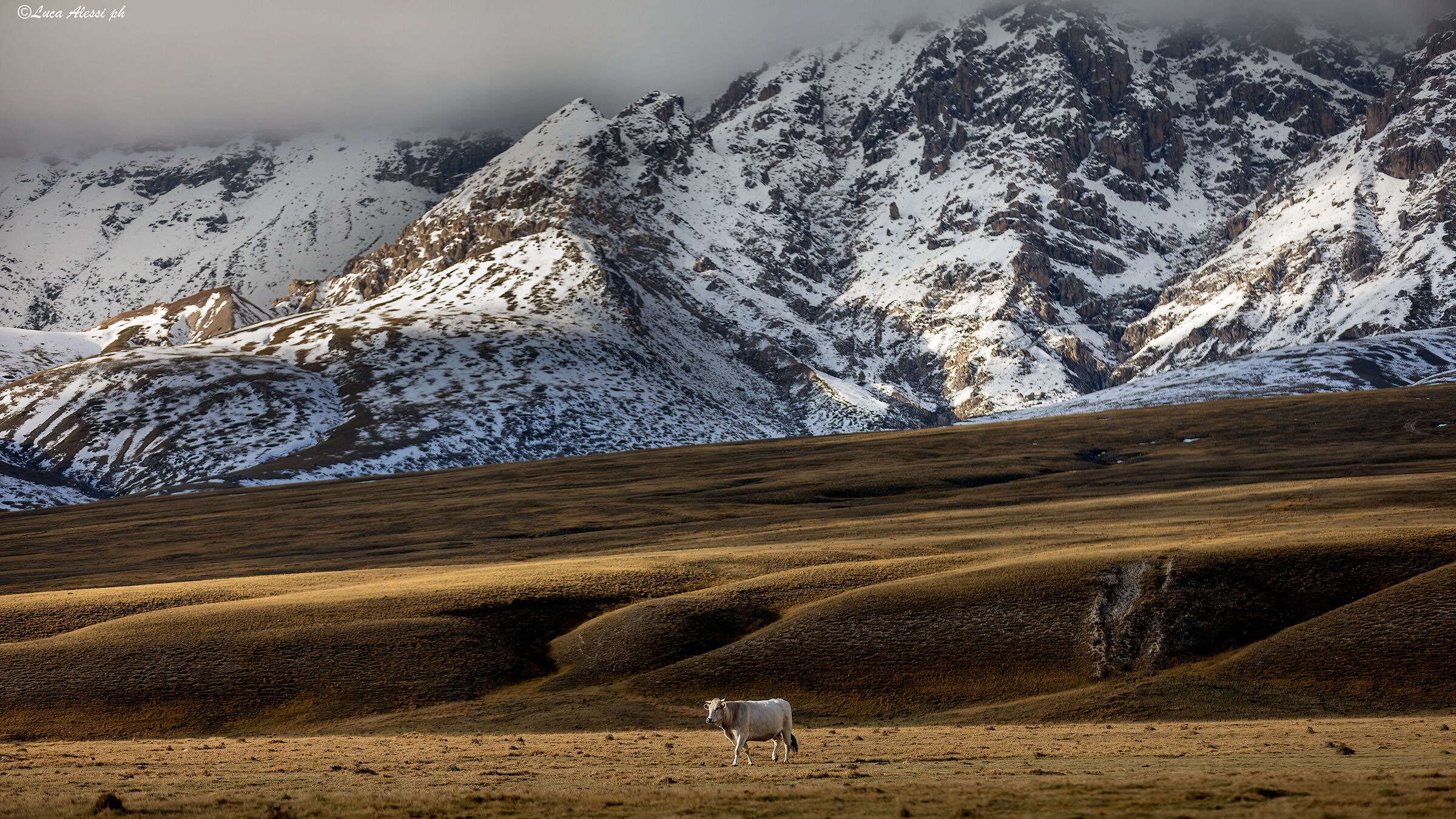 Traveling on little Tibet