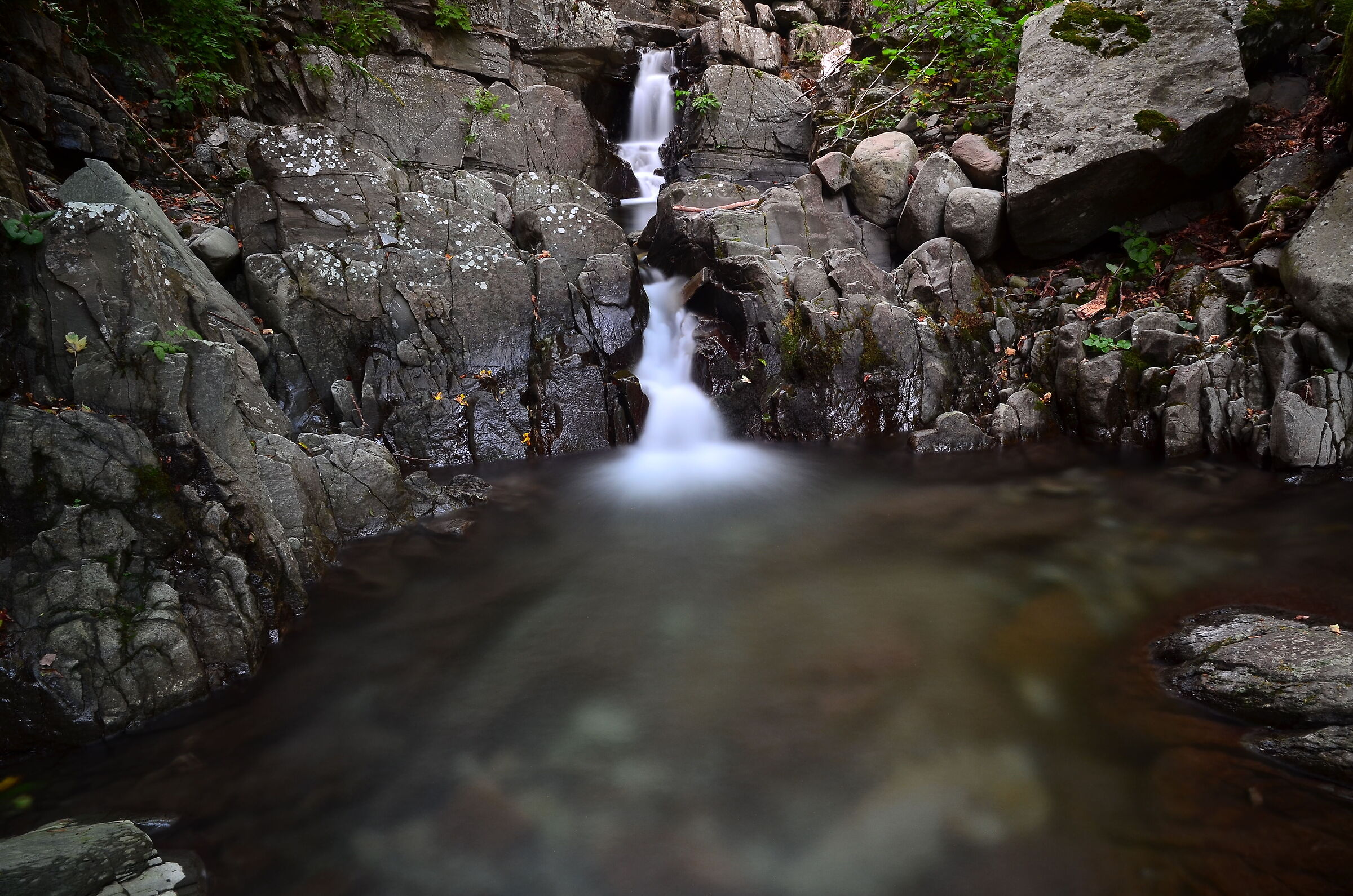 Green Torrent