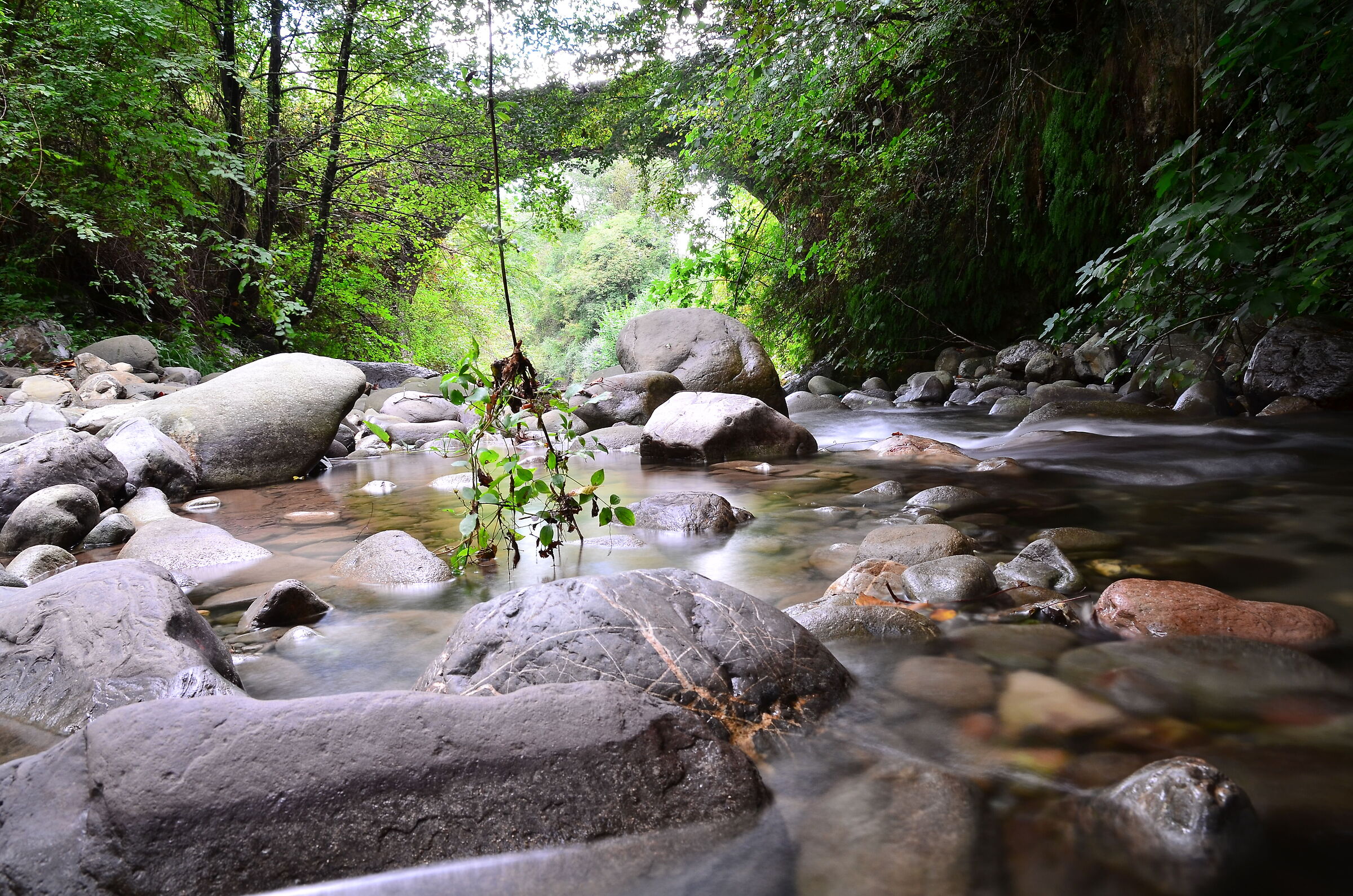 Torrent Taverone