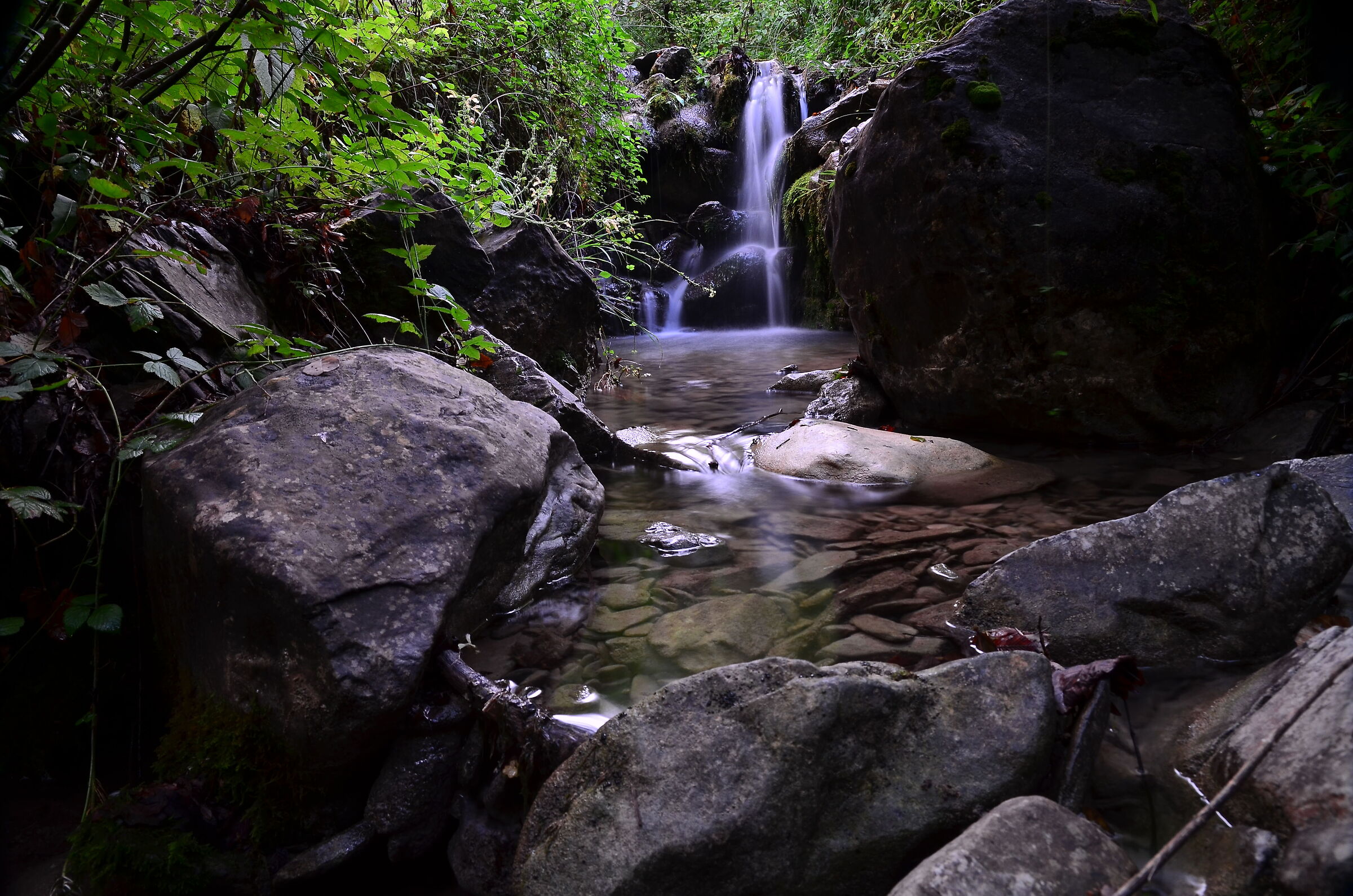 Torrent Taverone