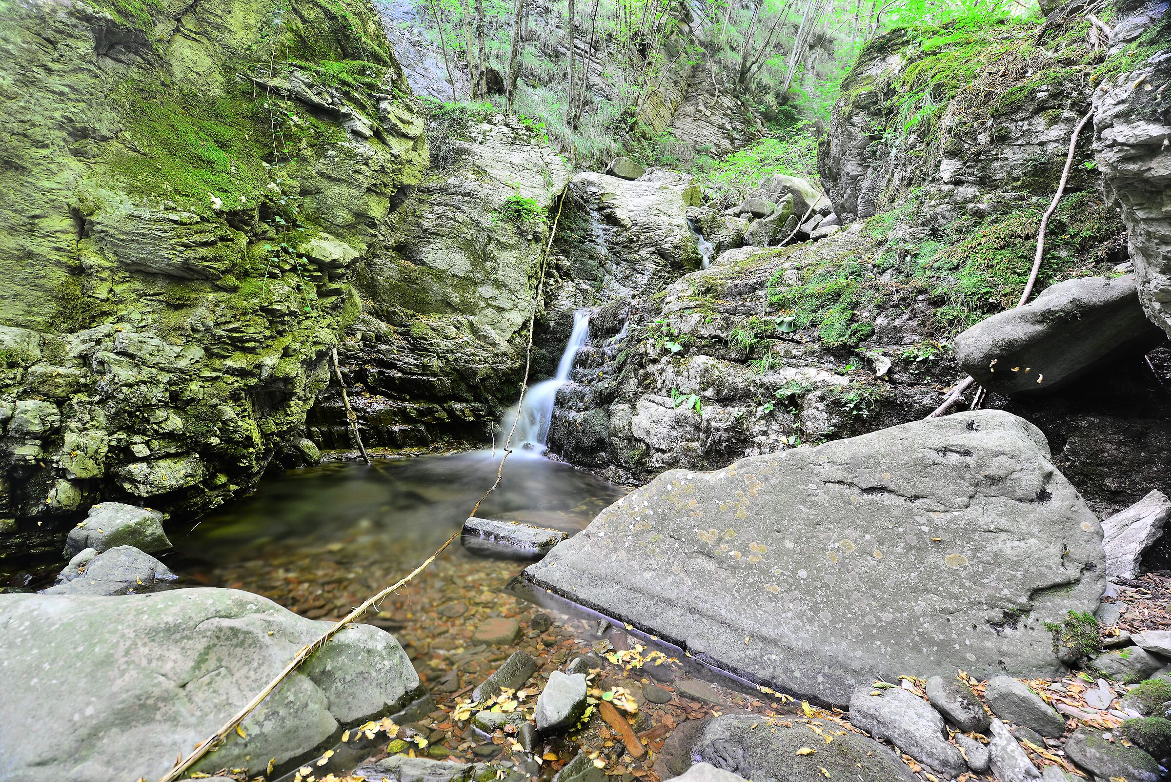 Torrent Taverone