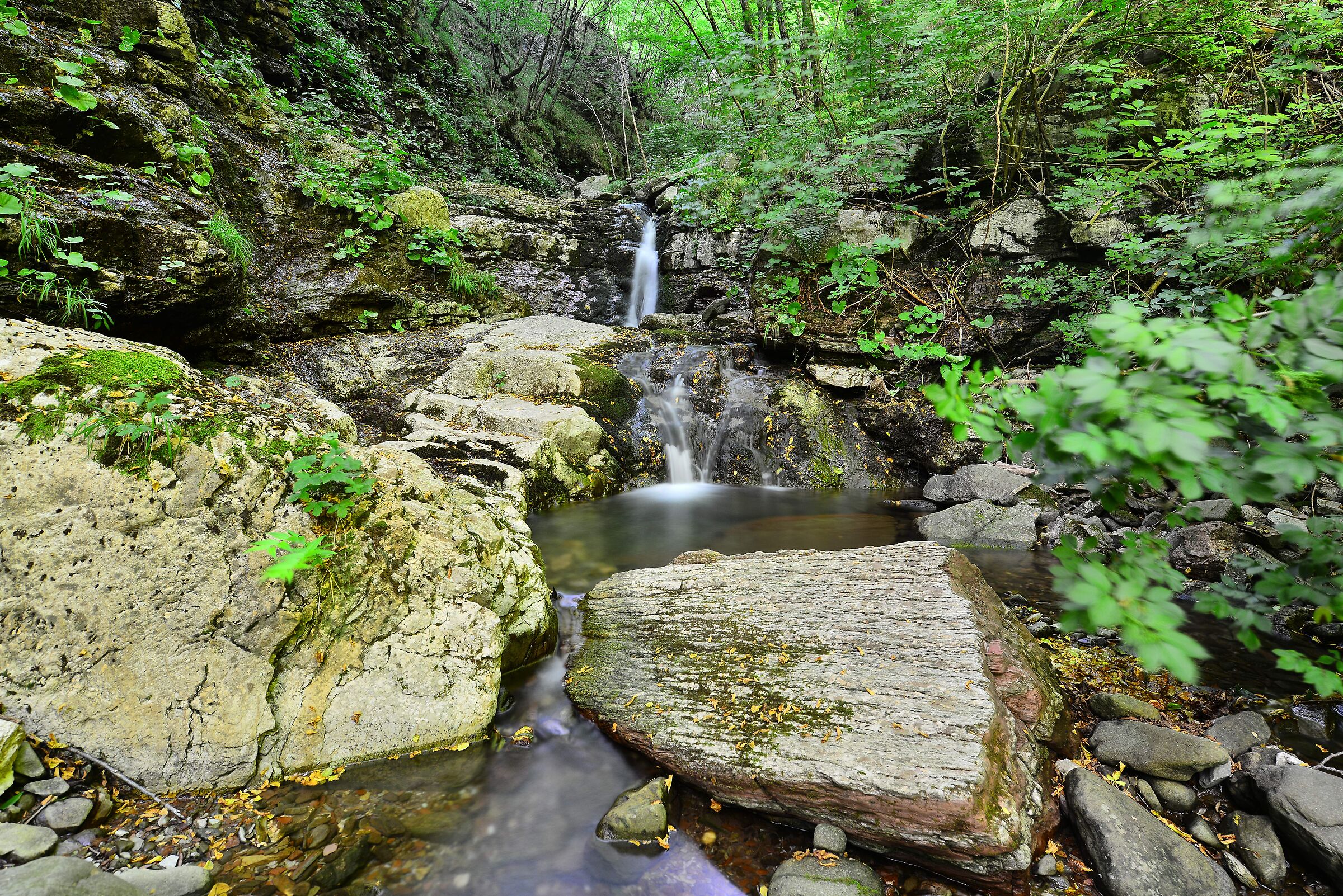 Torrent Taverone