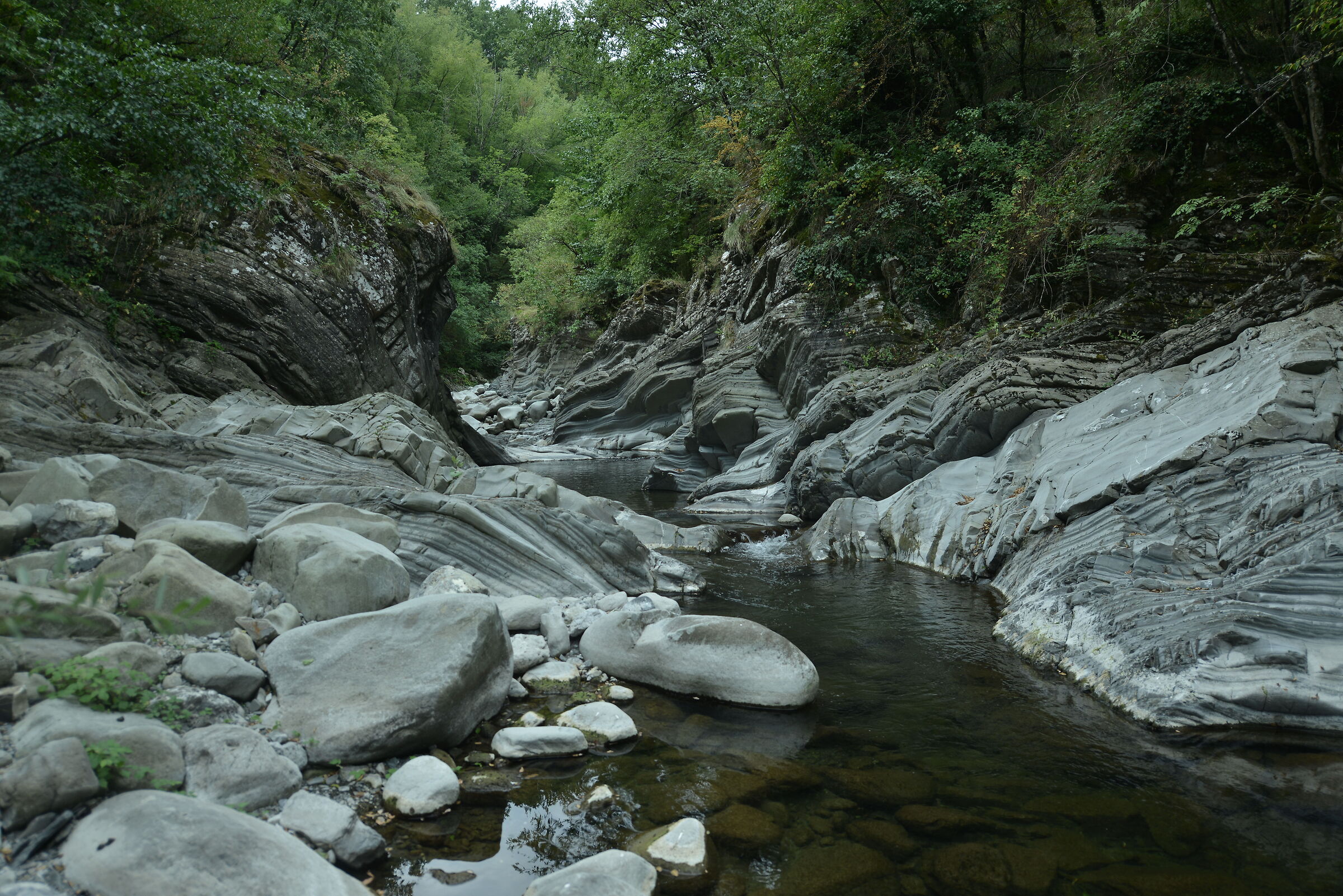 Torrent Gordana