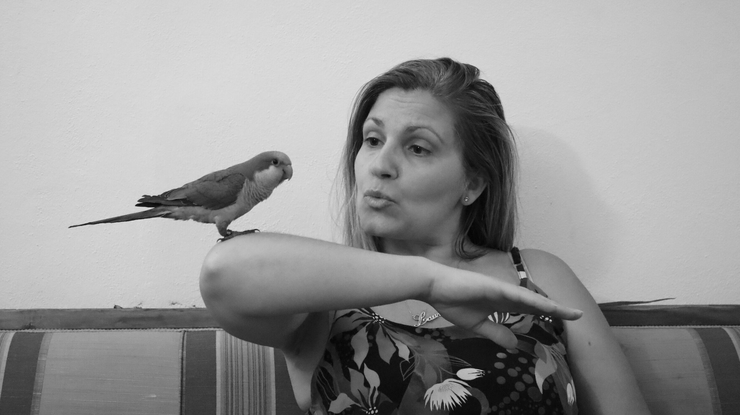 a' Libertà pure o' pappavall' l'adda ...