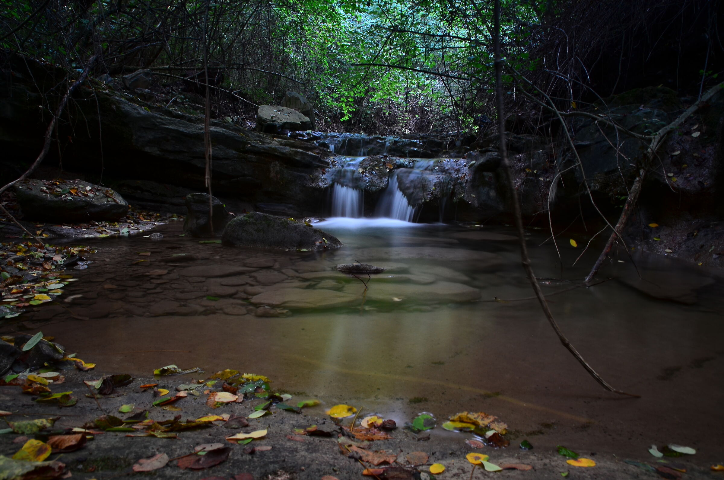 Torrent Arcinasso