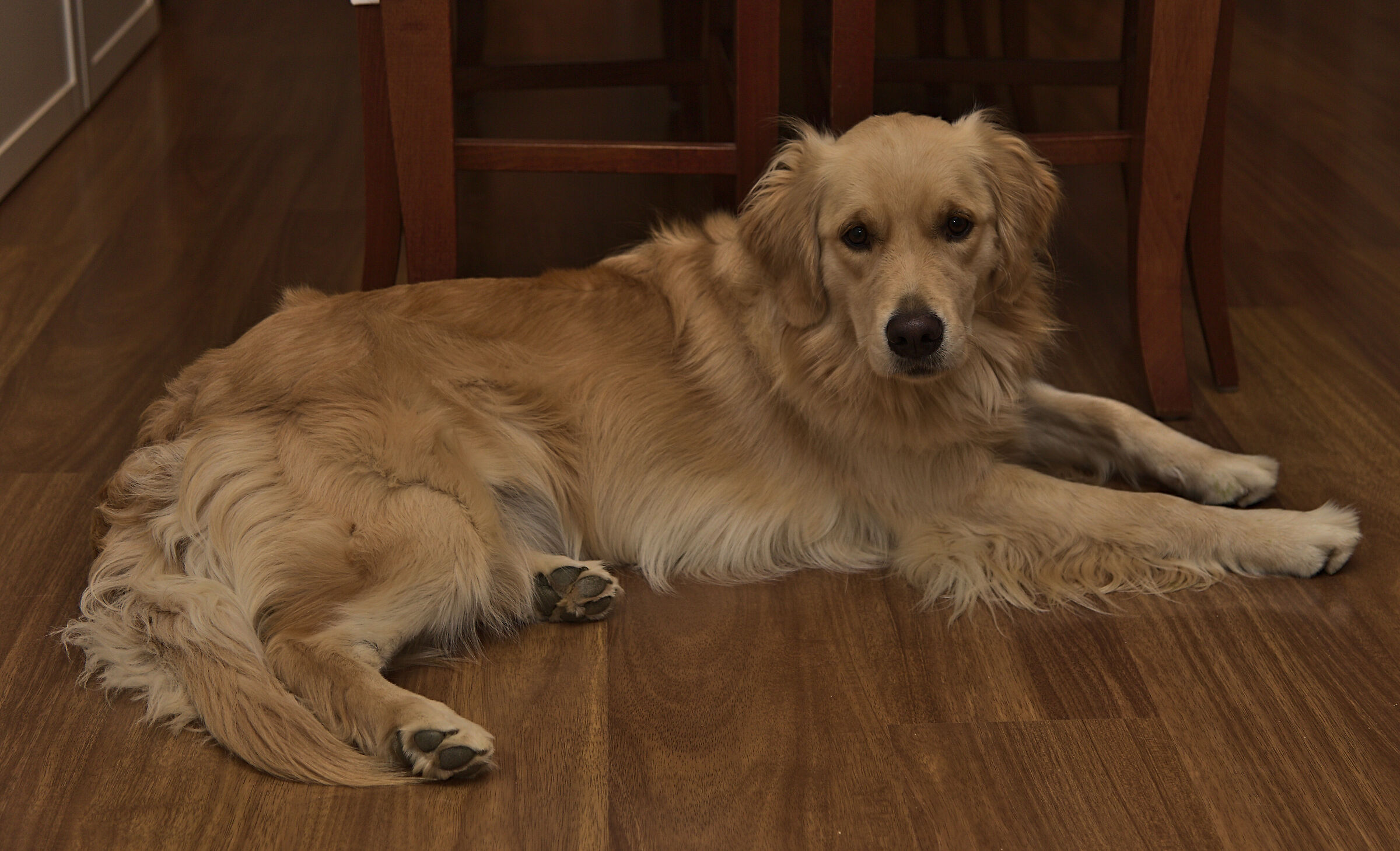 Melody #9. La regina del salotto