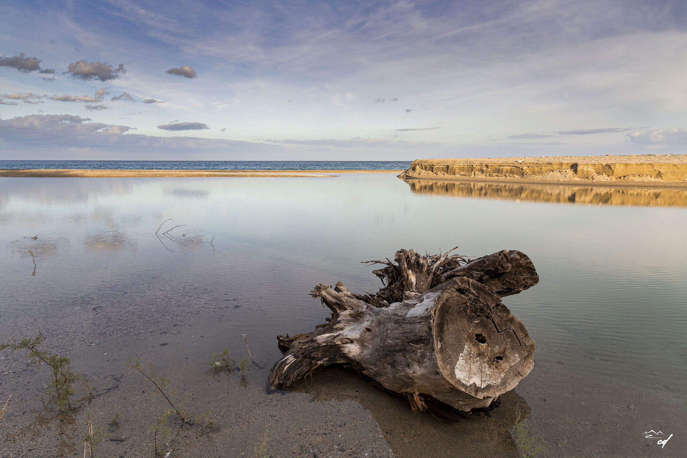 Sea puddle