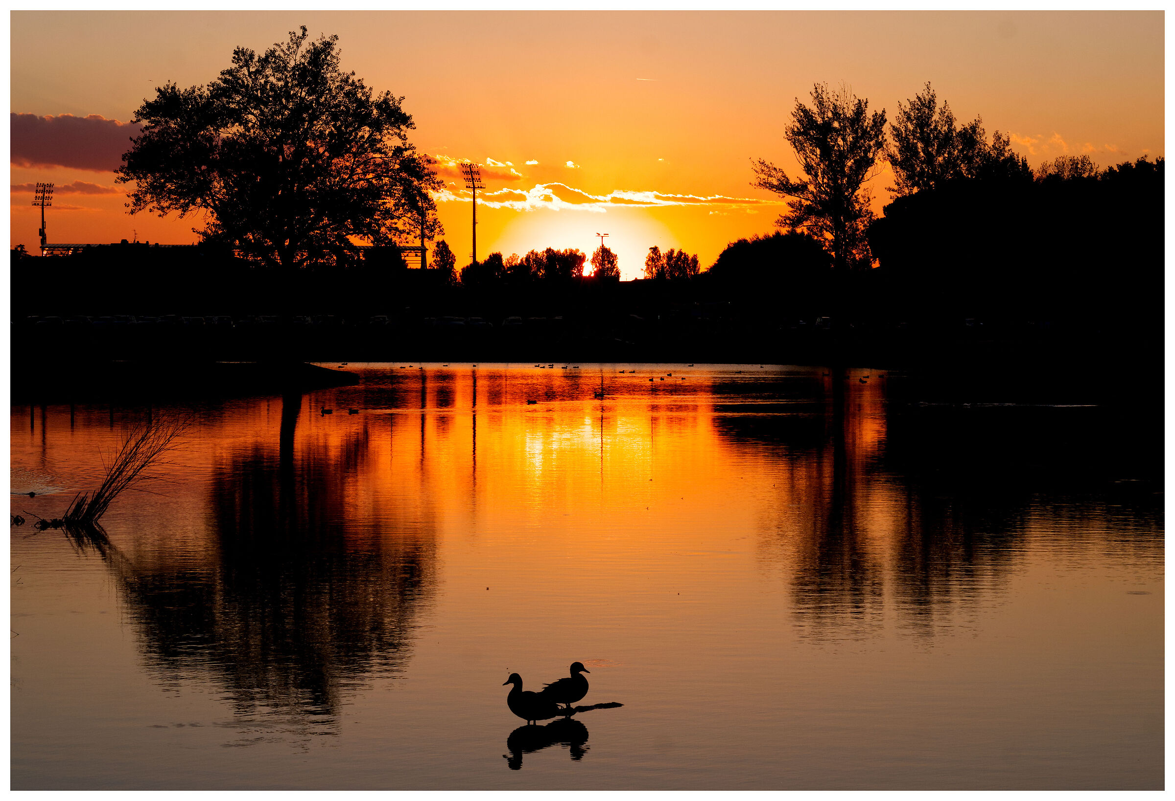 Un tramonto inaspettato