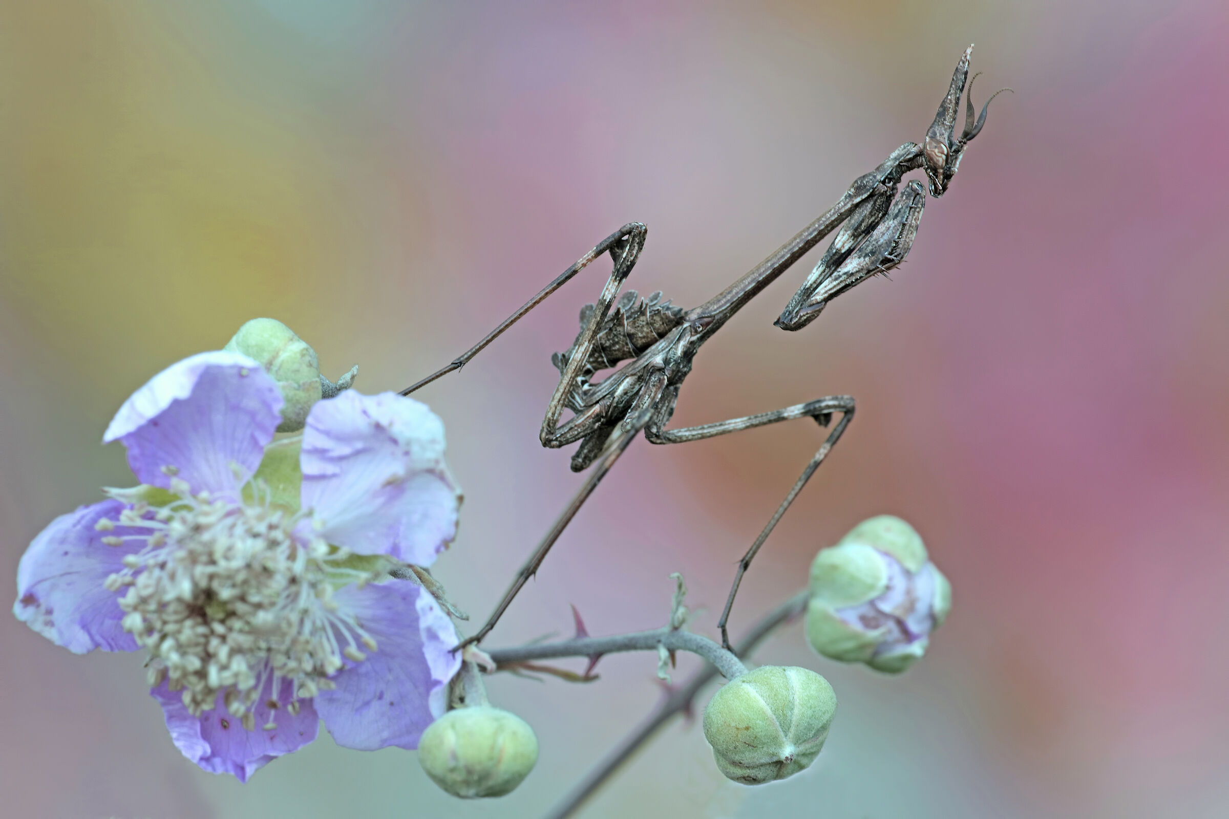 Untitled Photo