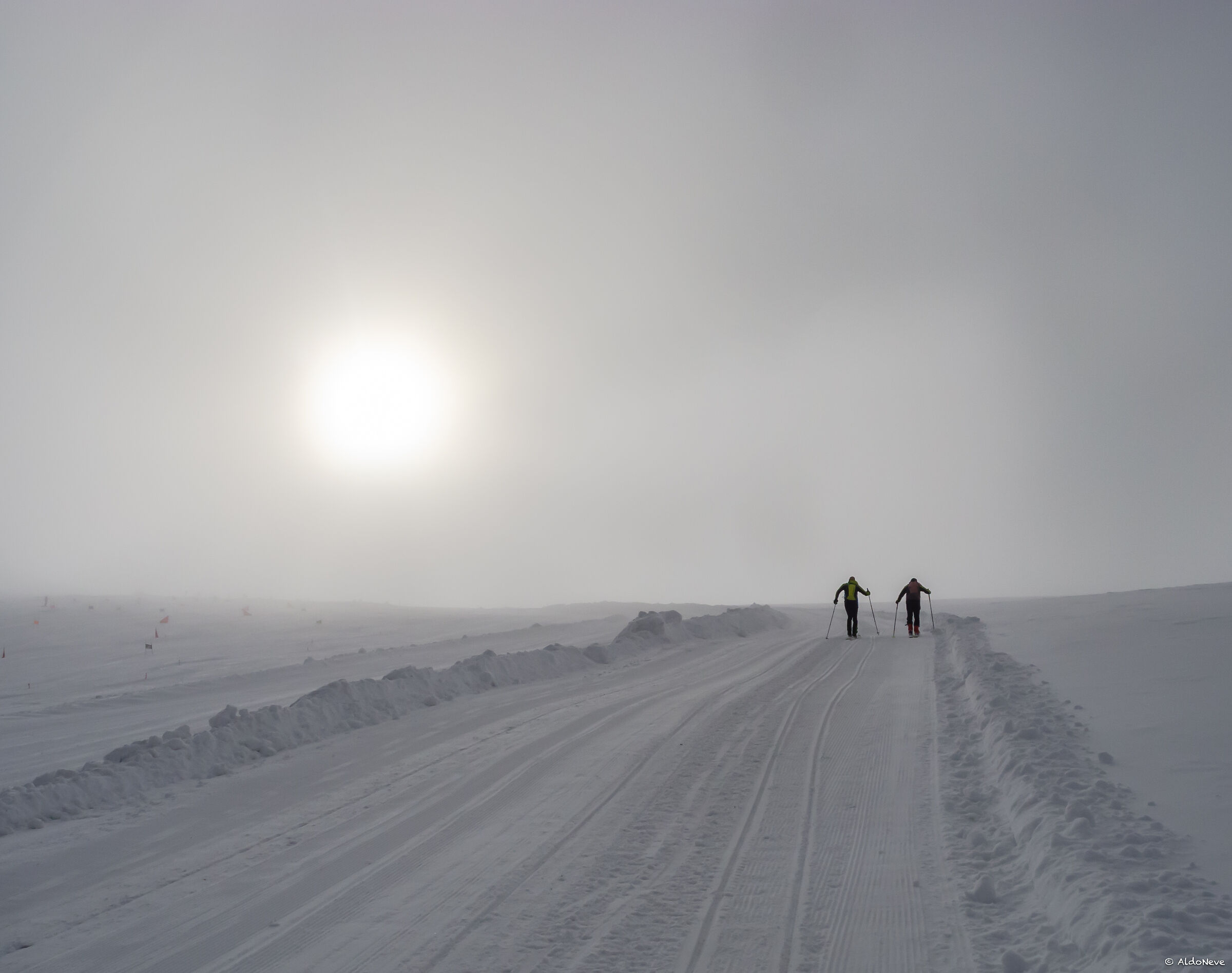From the fog...