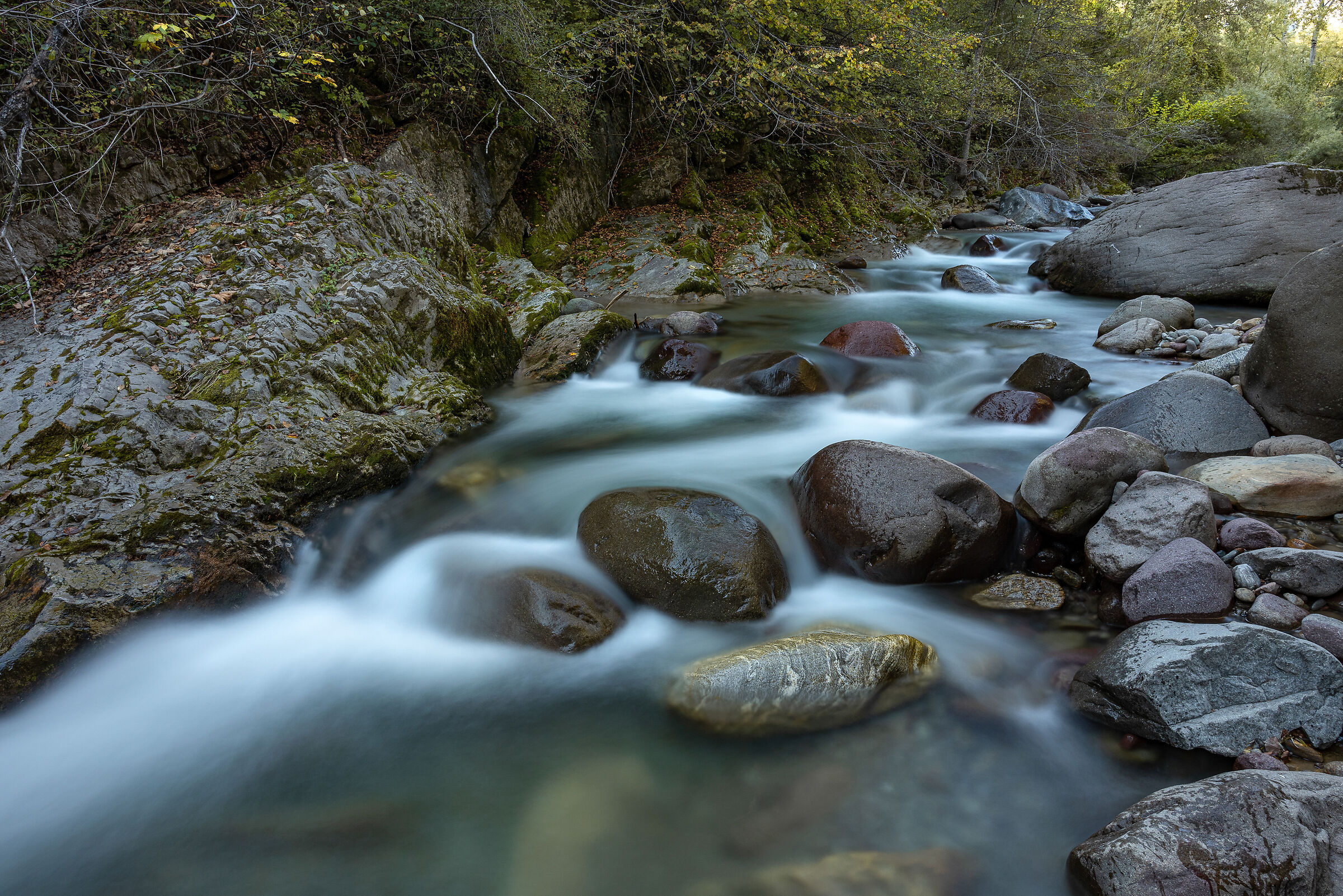 Pescara Stream - Val di Non