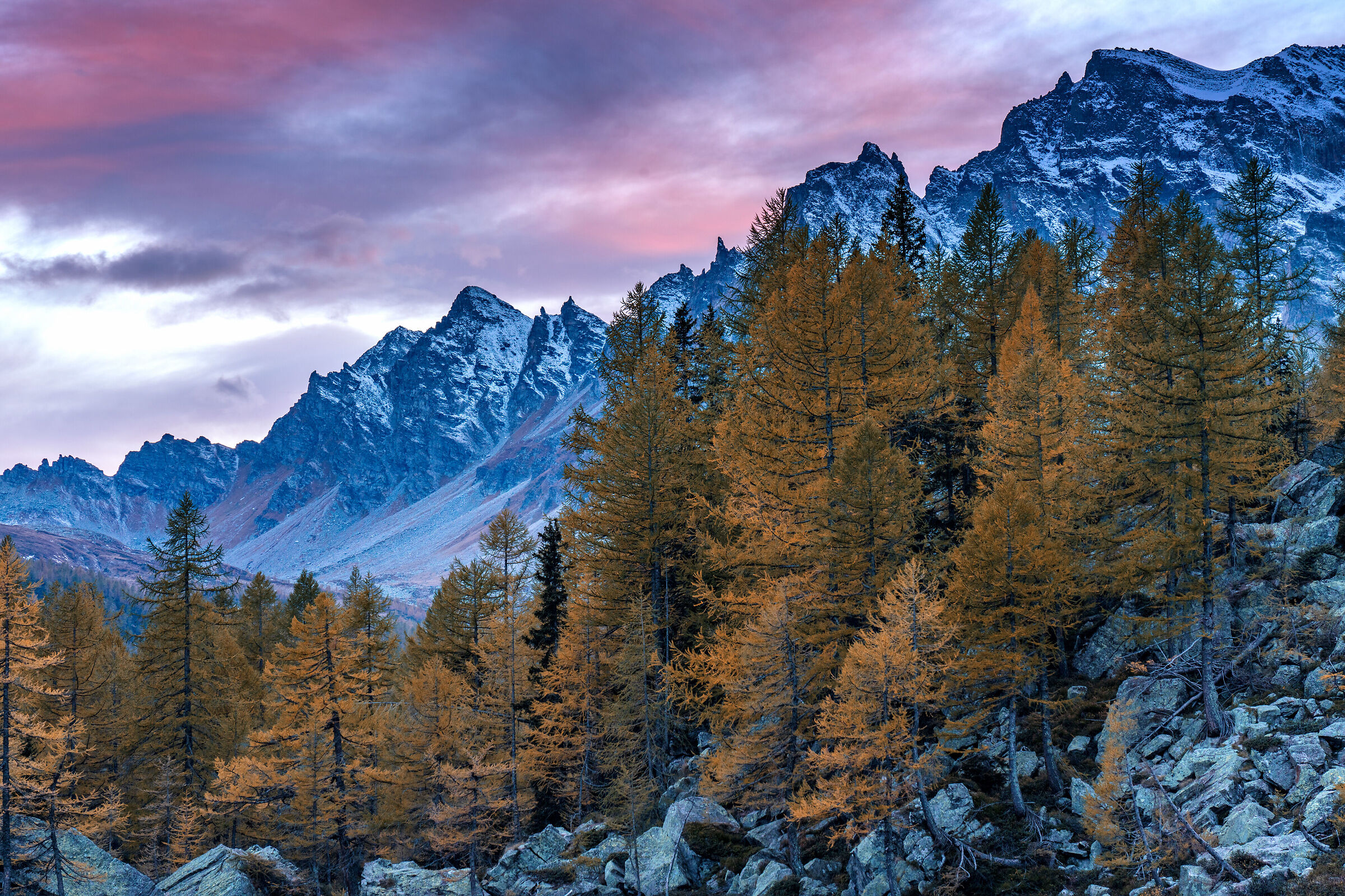 At the gates of winter