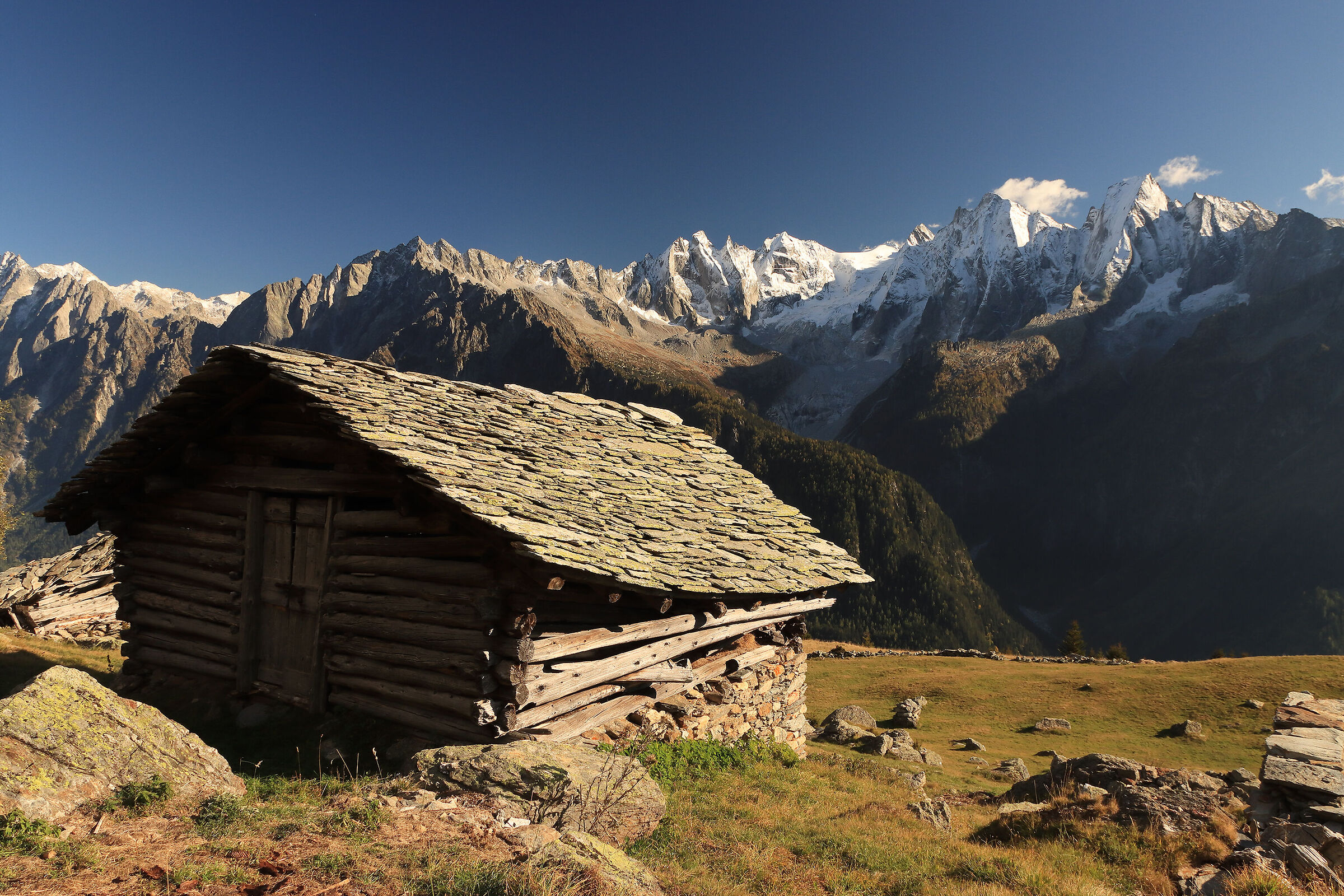 Plan Vest (Bregaglia)