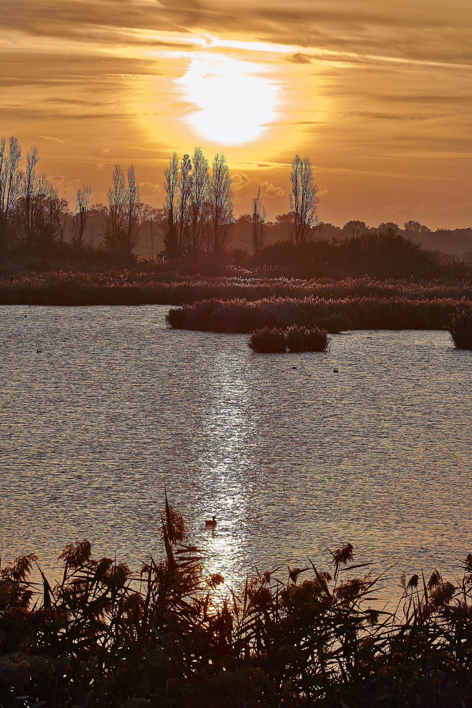 Sunrise at Ortazzino