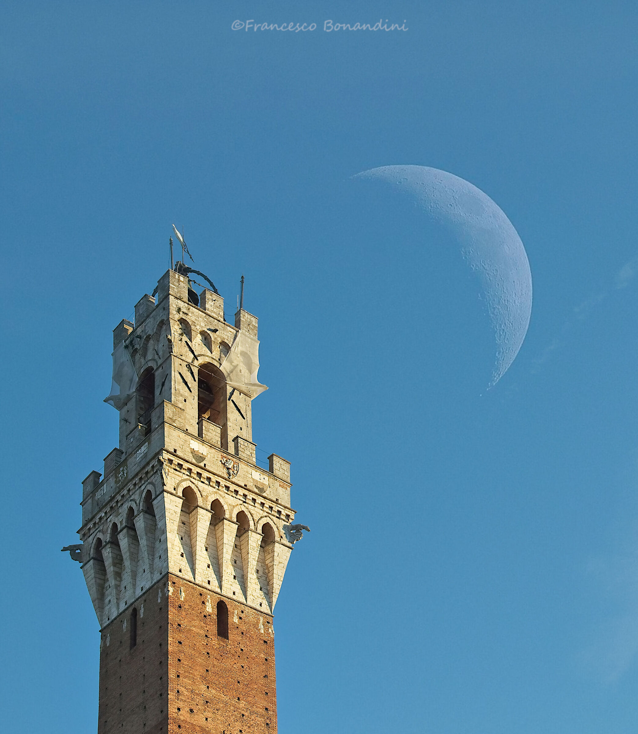 The tower and the moon
