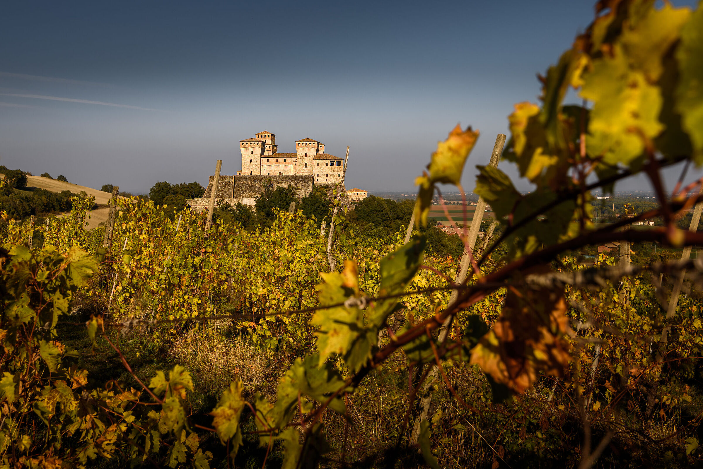 Il castello fra i vigneti