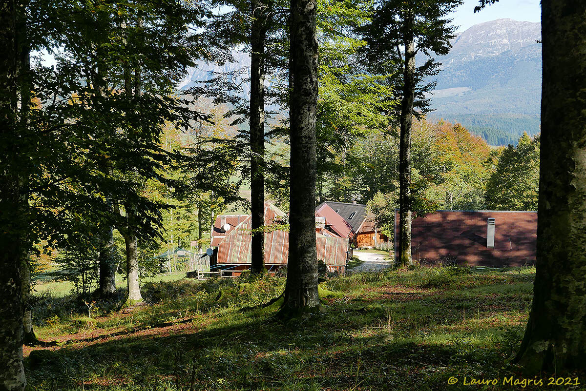 Arrival at the Routes