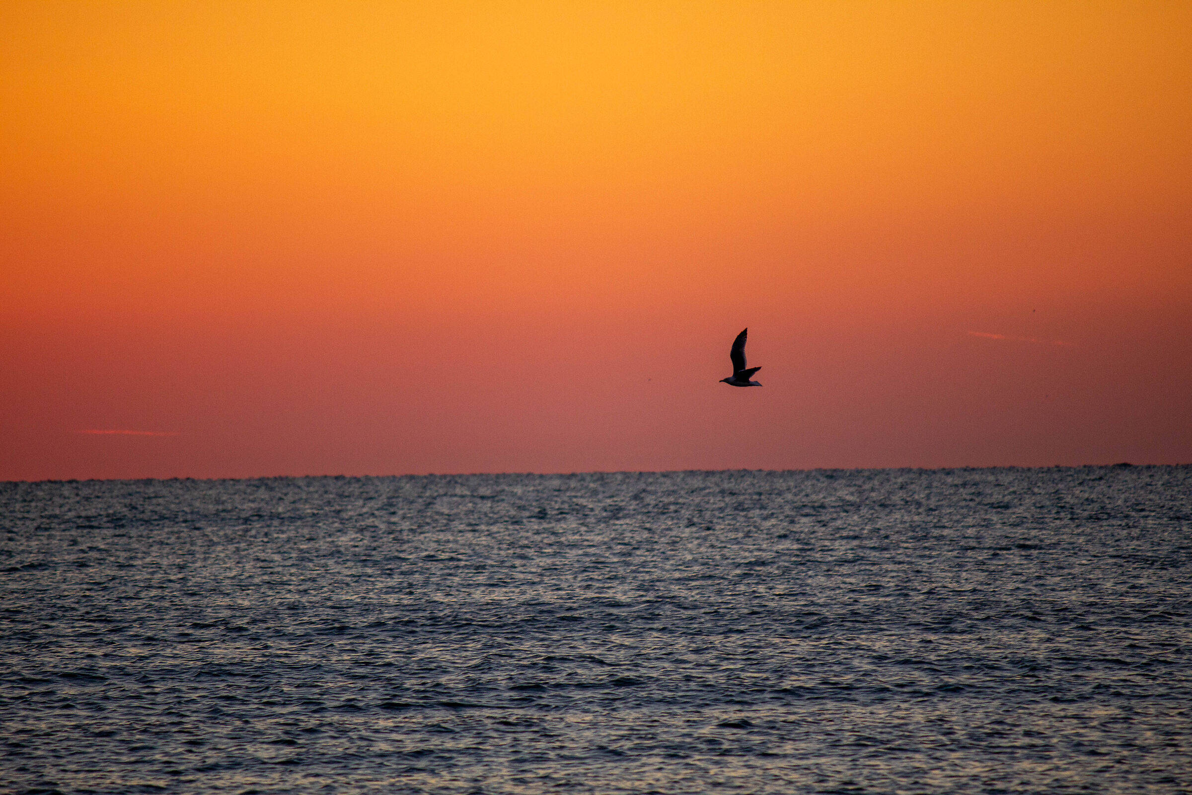 The solitary flight