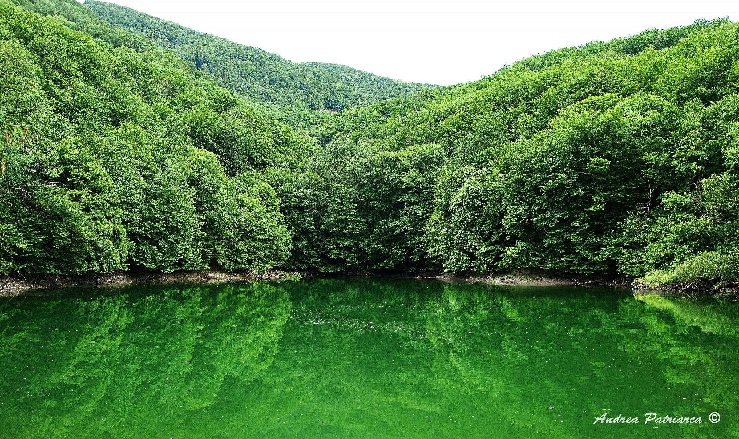 Ungheria, riflessi dei faggi