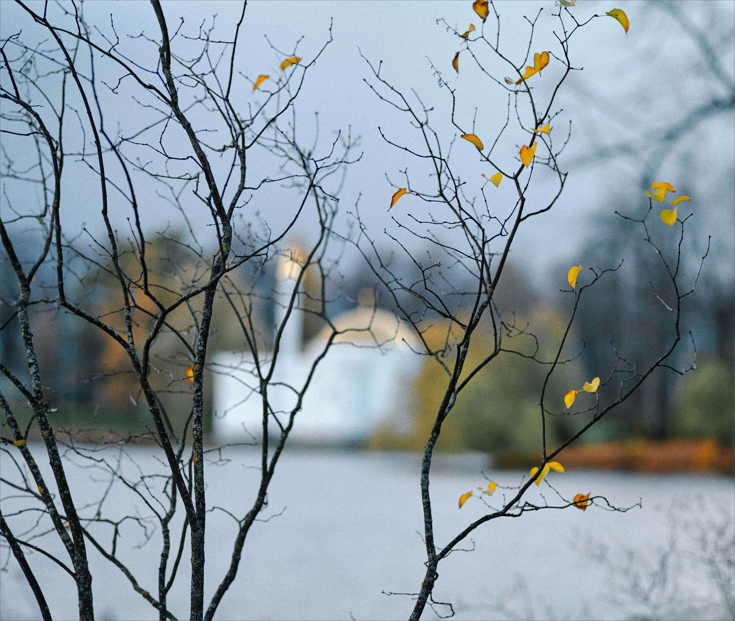 Untitled Photo