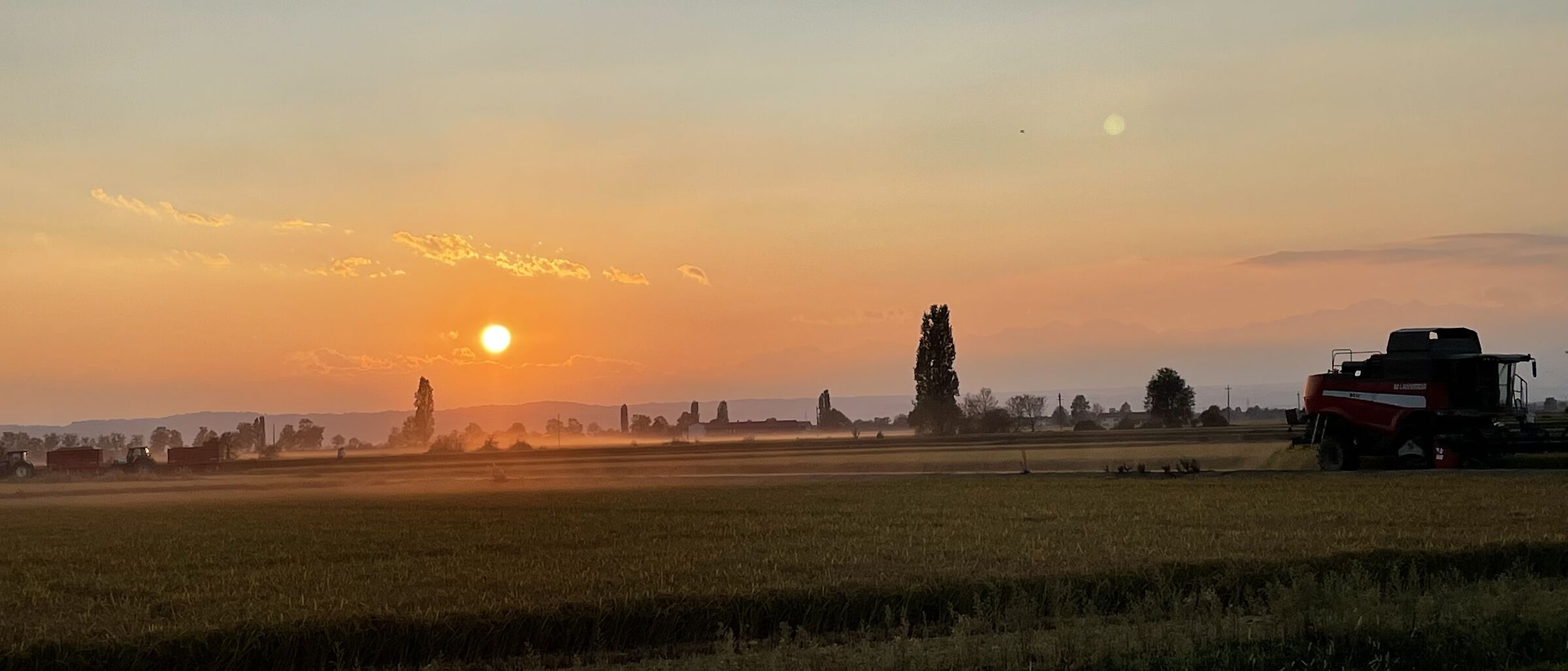 Tramonto sulle risaie biellesi