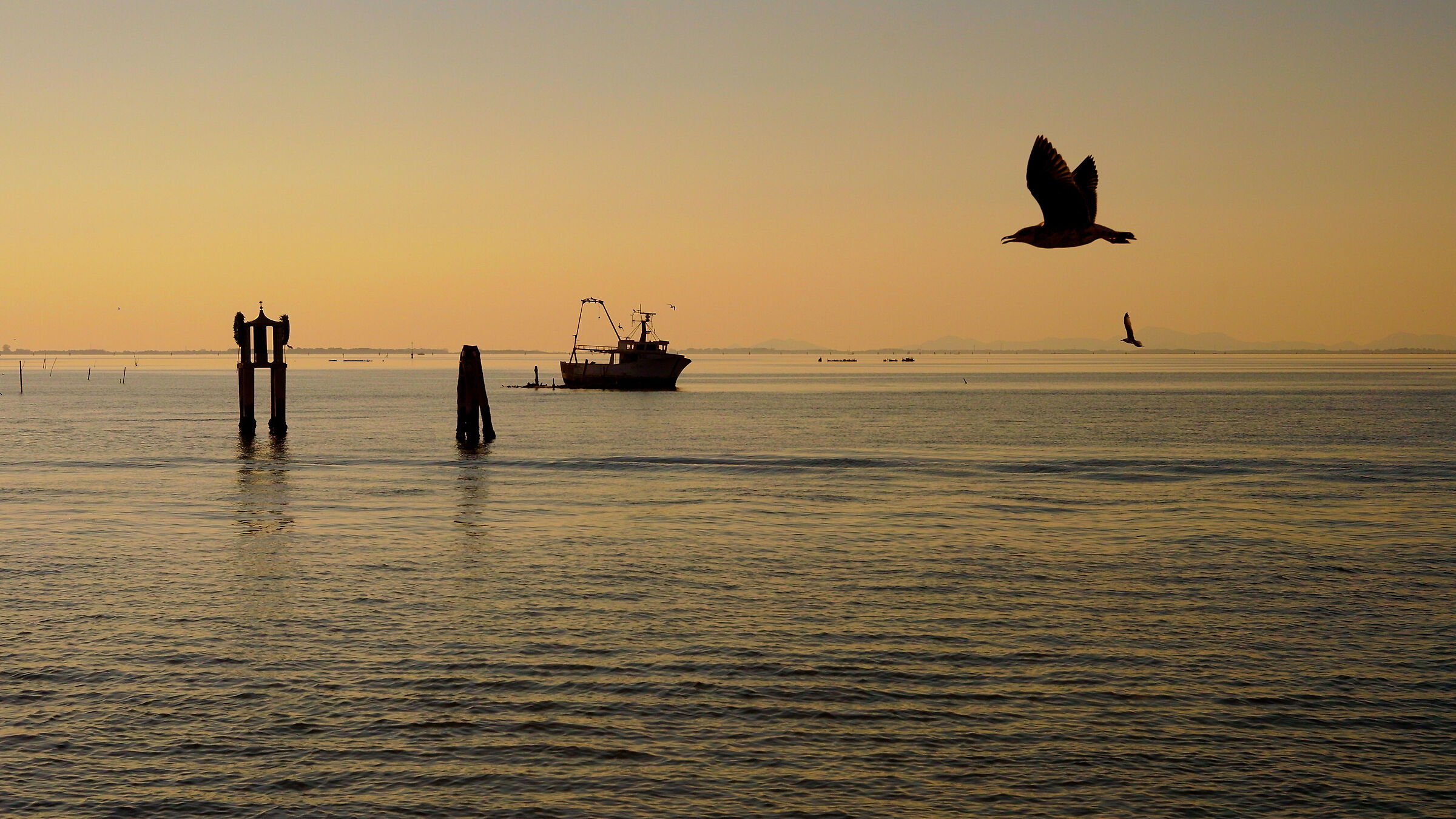Pellestrina (ve) 2