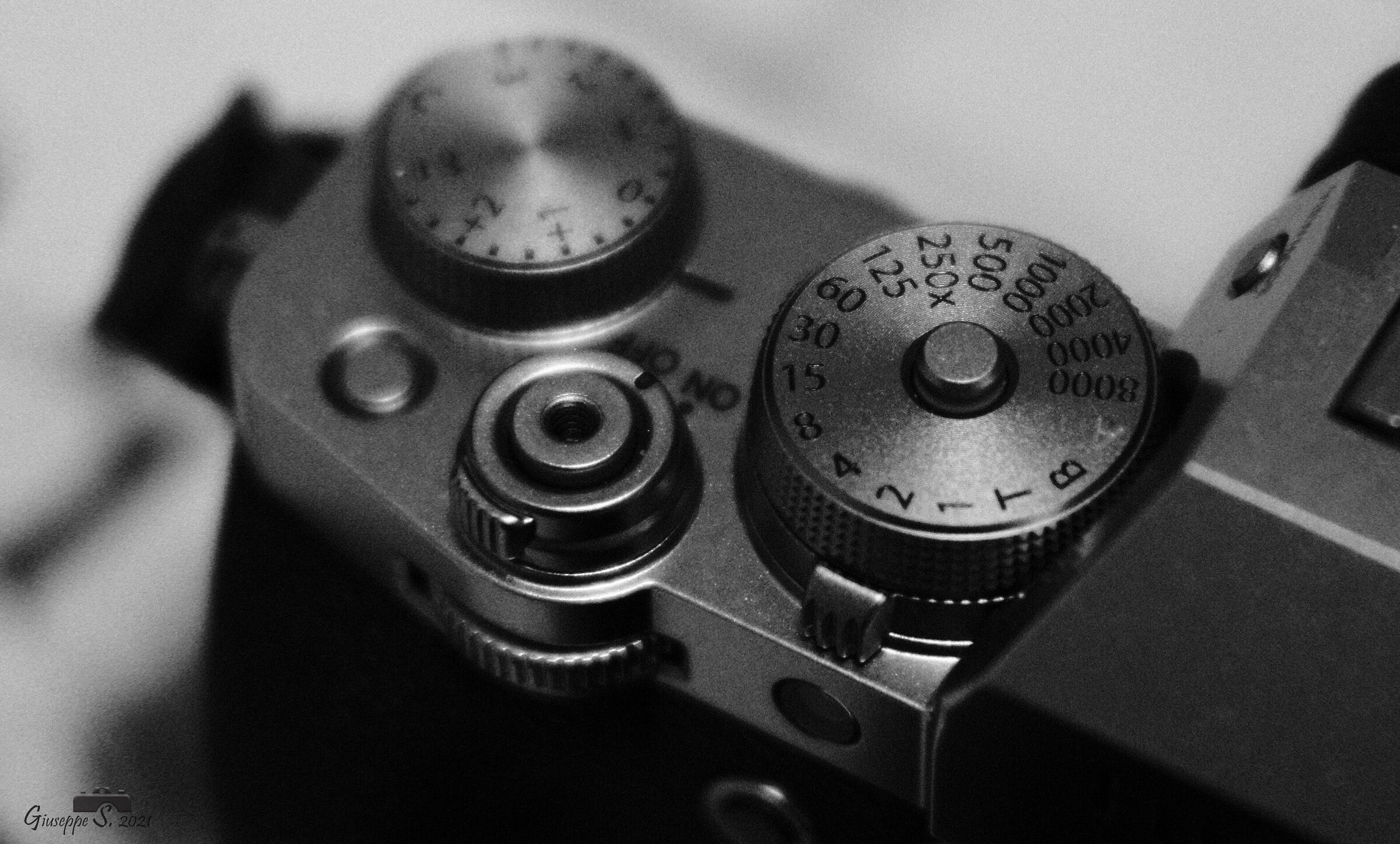 Untitled Photo