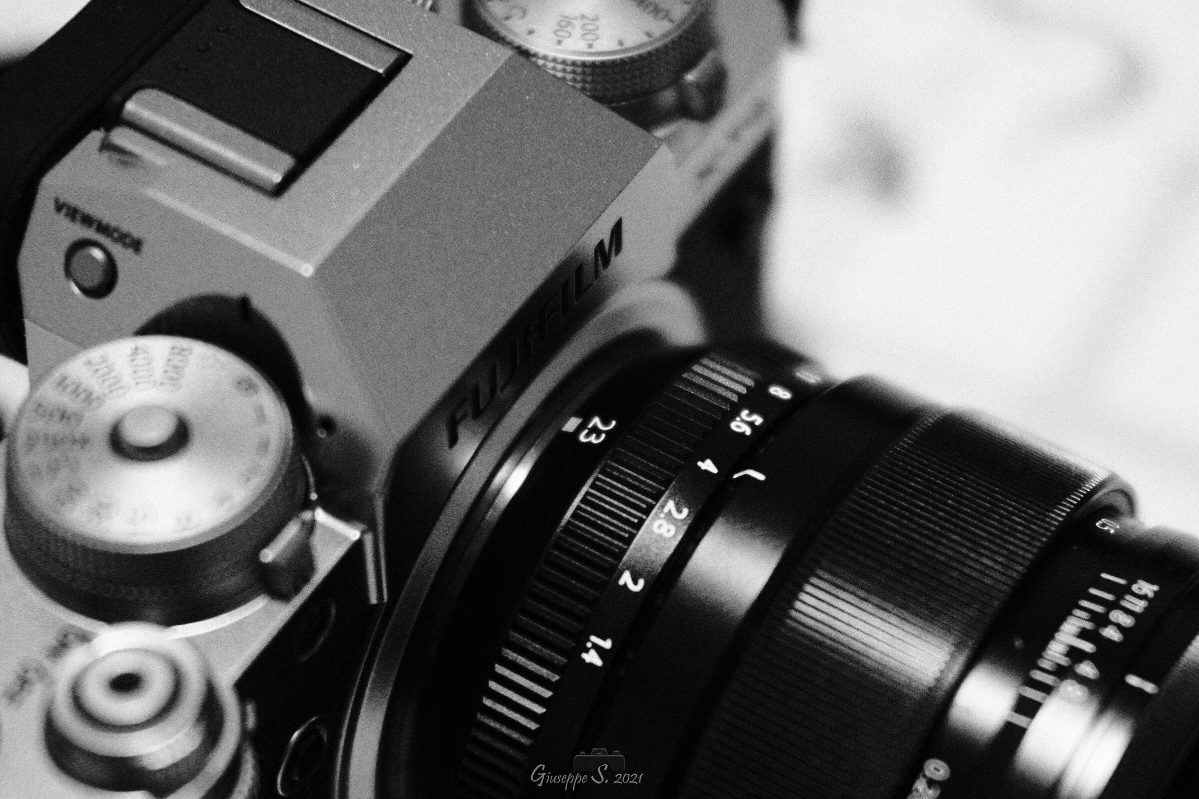 Untitled Photo