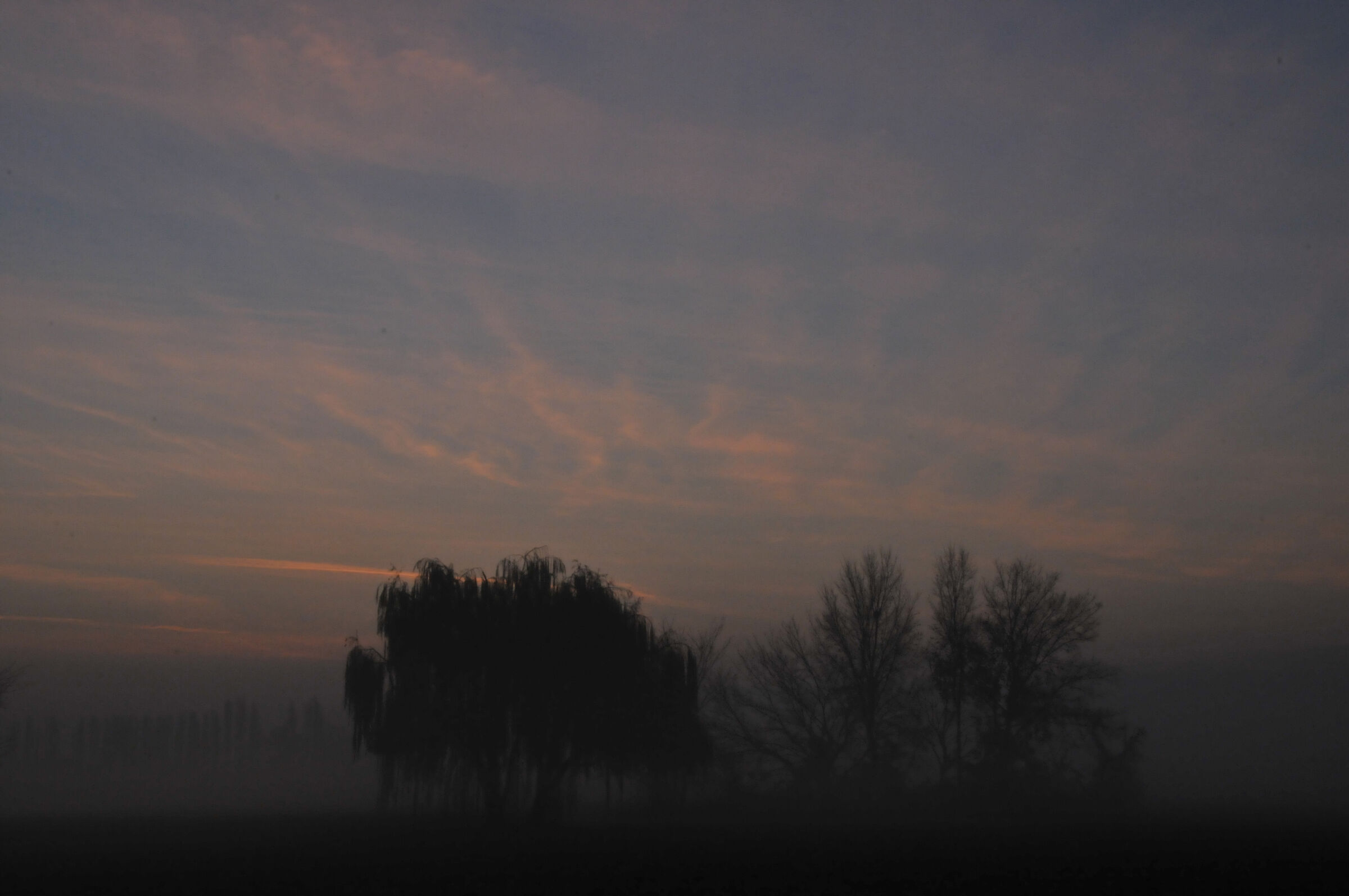 Dawn
