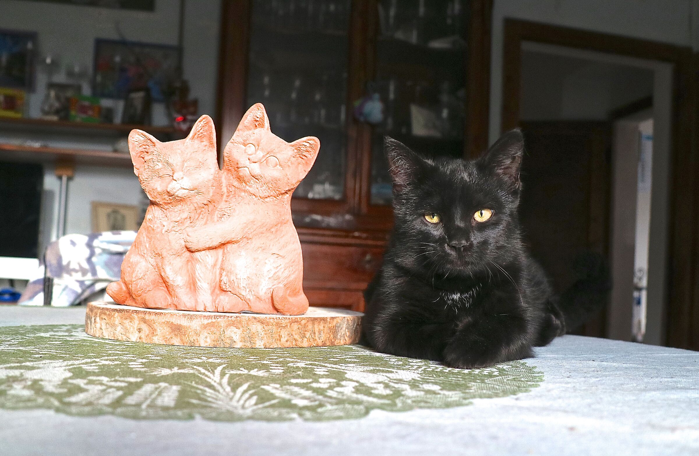 Il vero e il falso... ma entrambi sono immobili.