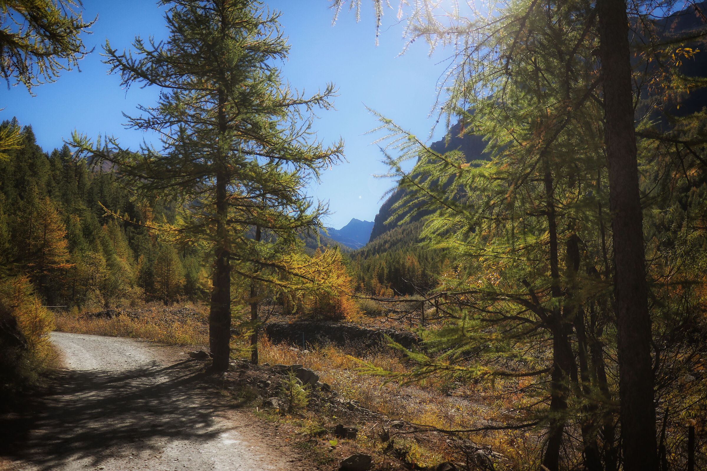autunno in val troncea