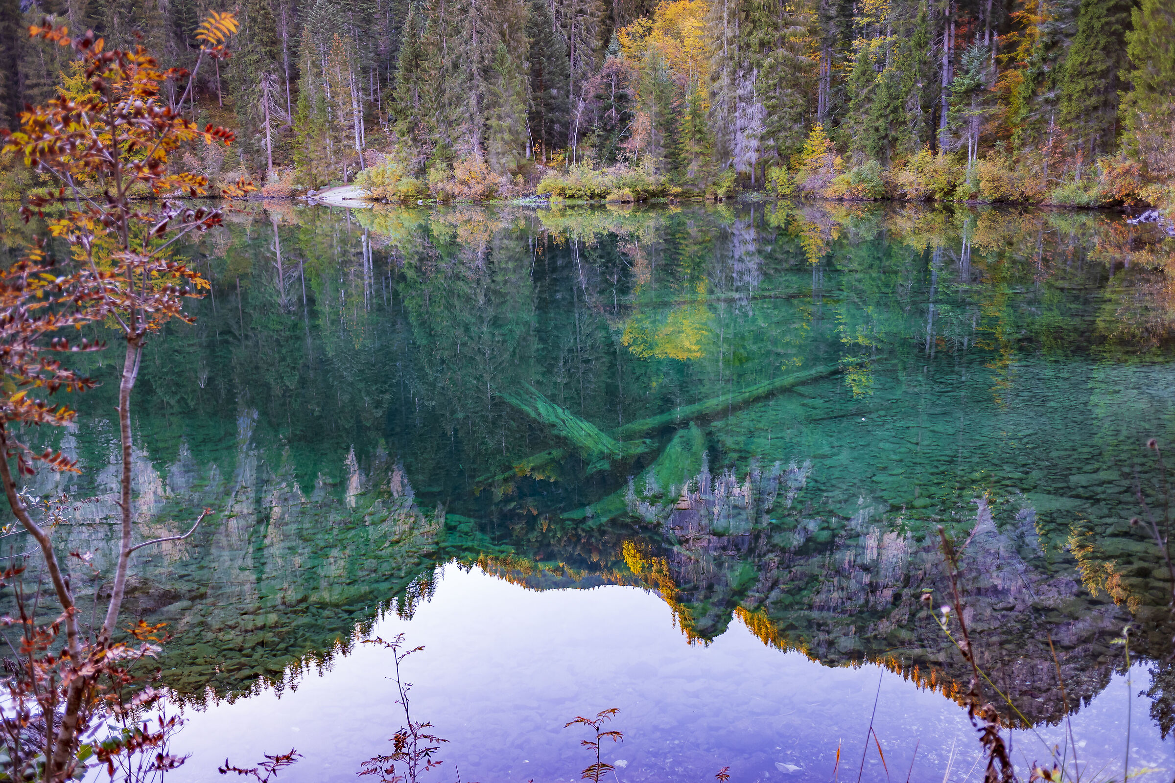 Riflessi autunnali in smeraldine trasparenze