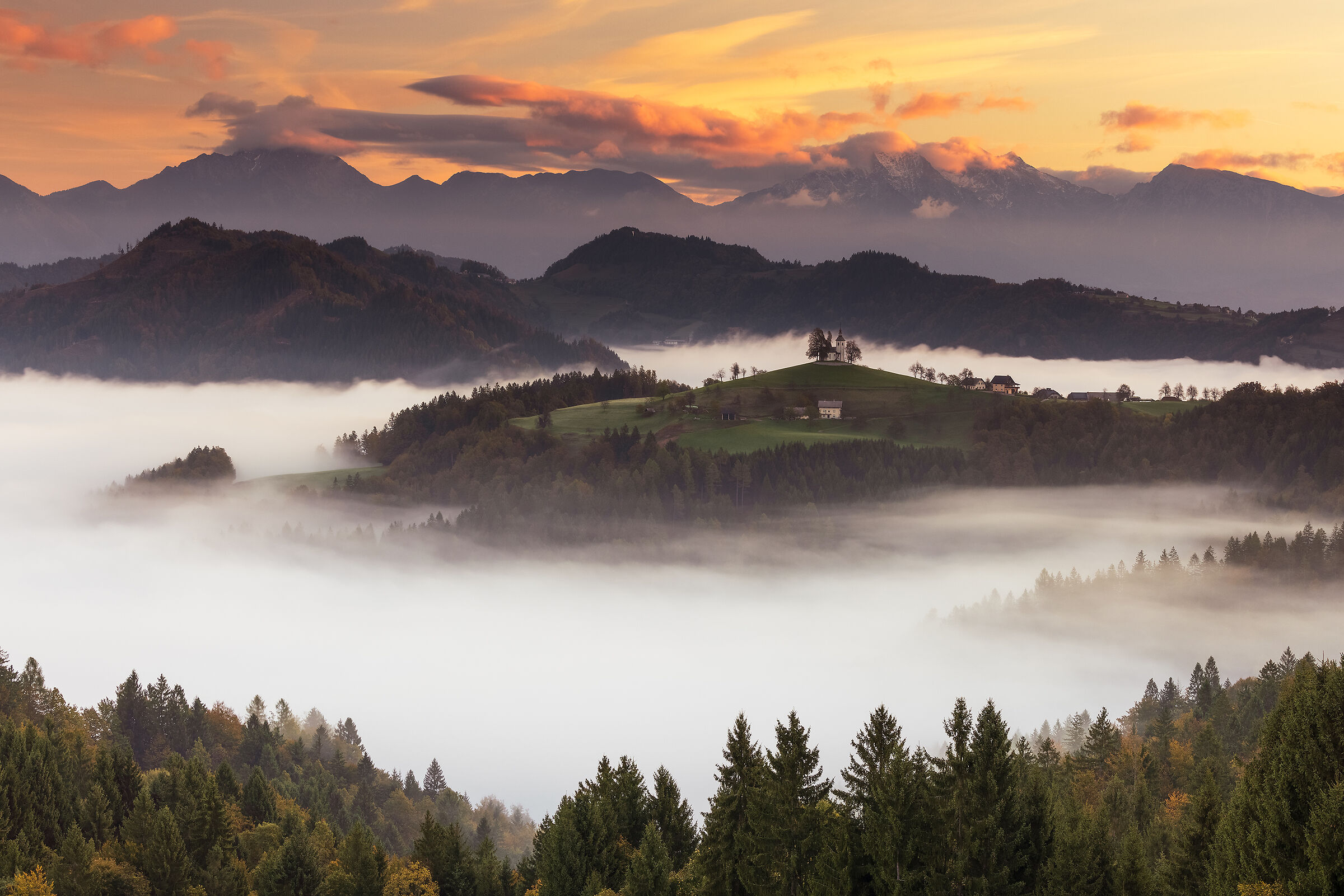 Suspended in a sea of fog