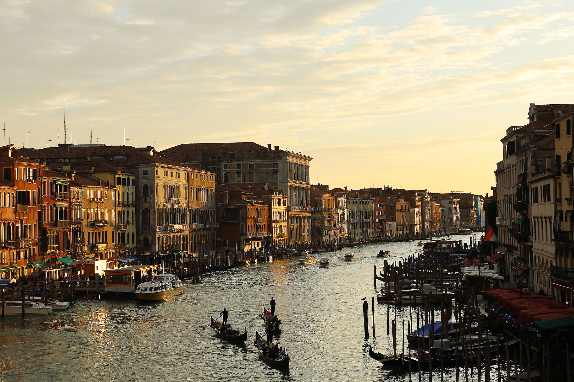 Venice - Rialto Bridge
