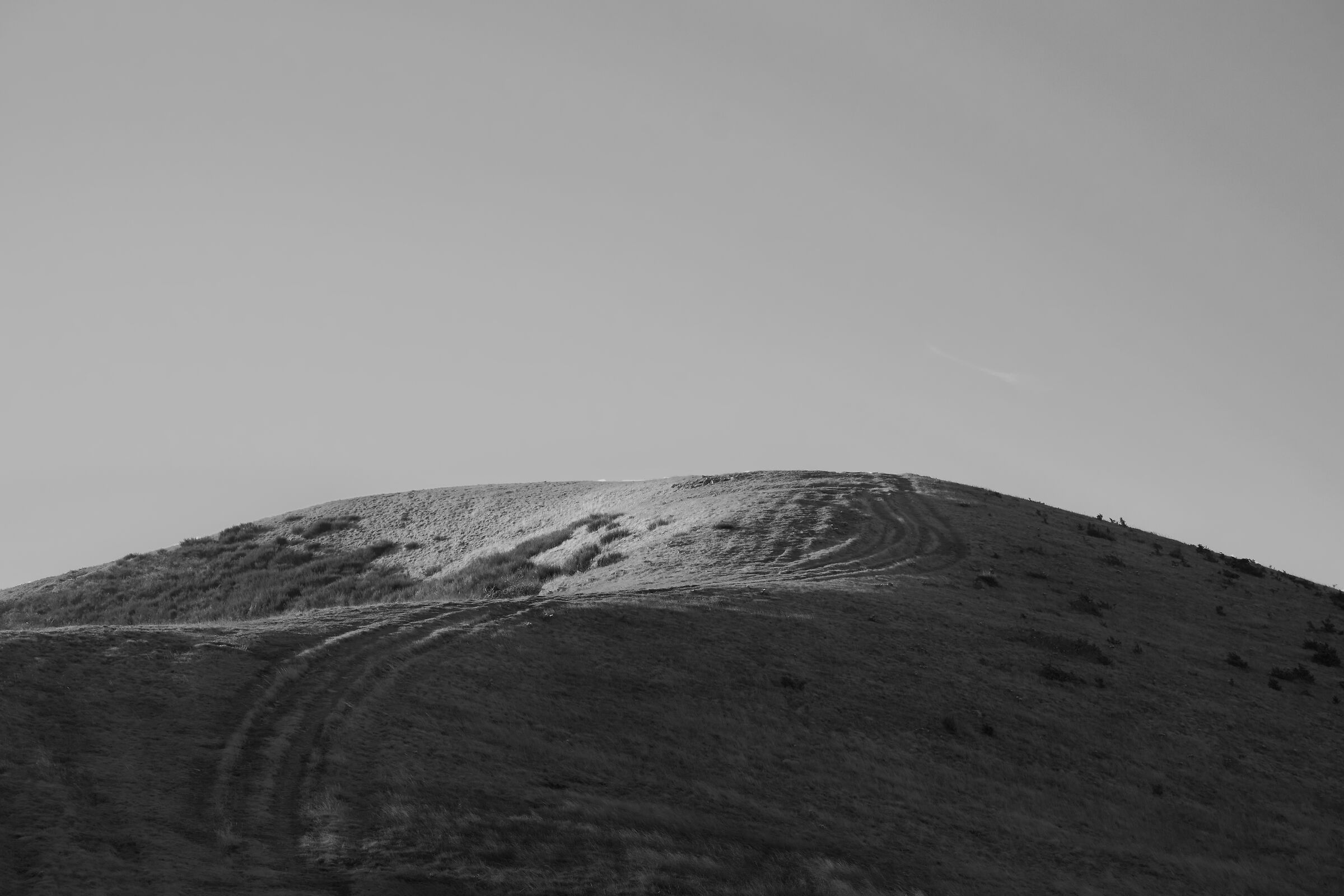 On the hill