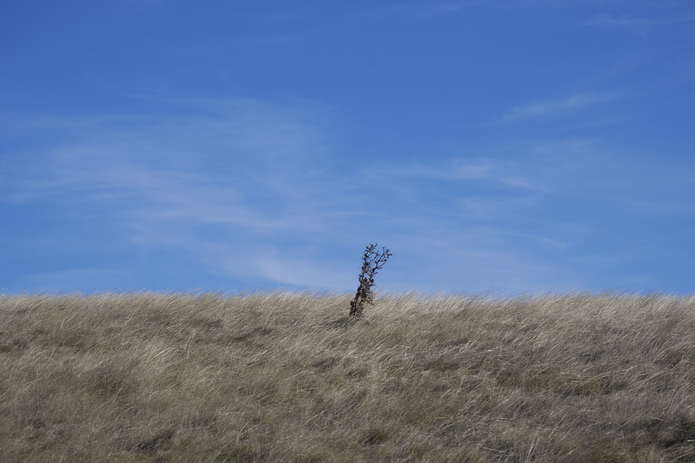 Tra cielo e terra