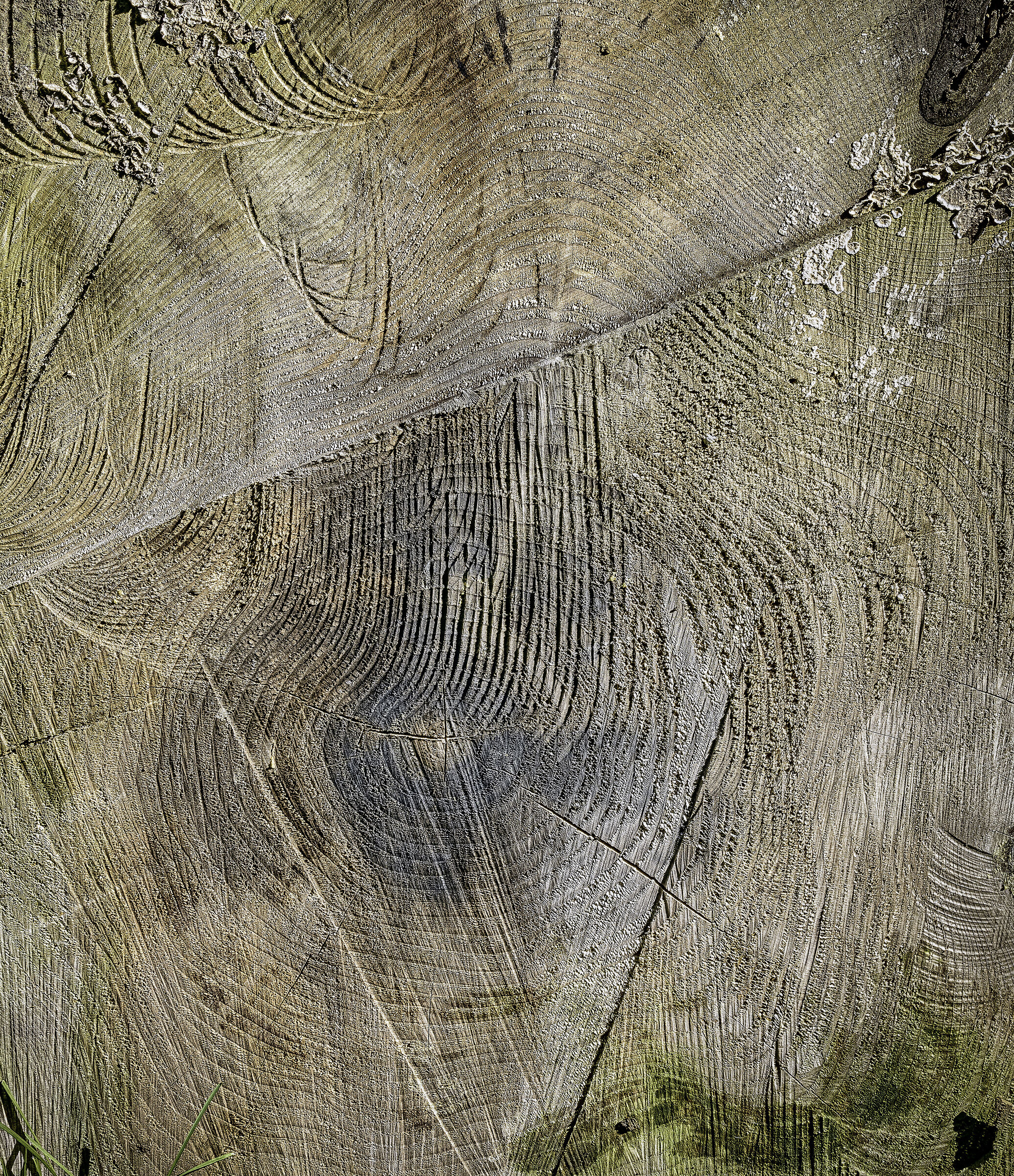 Wood