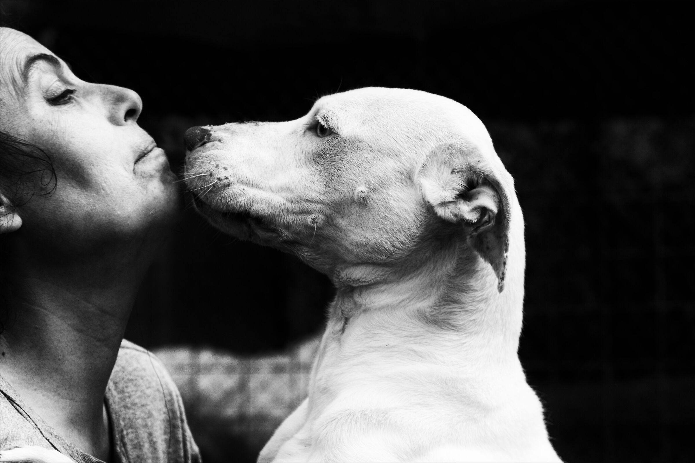 lovers... per noi loro sono importanti