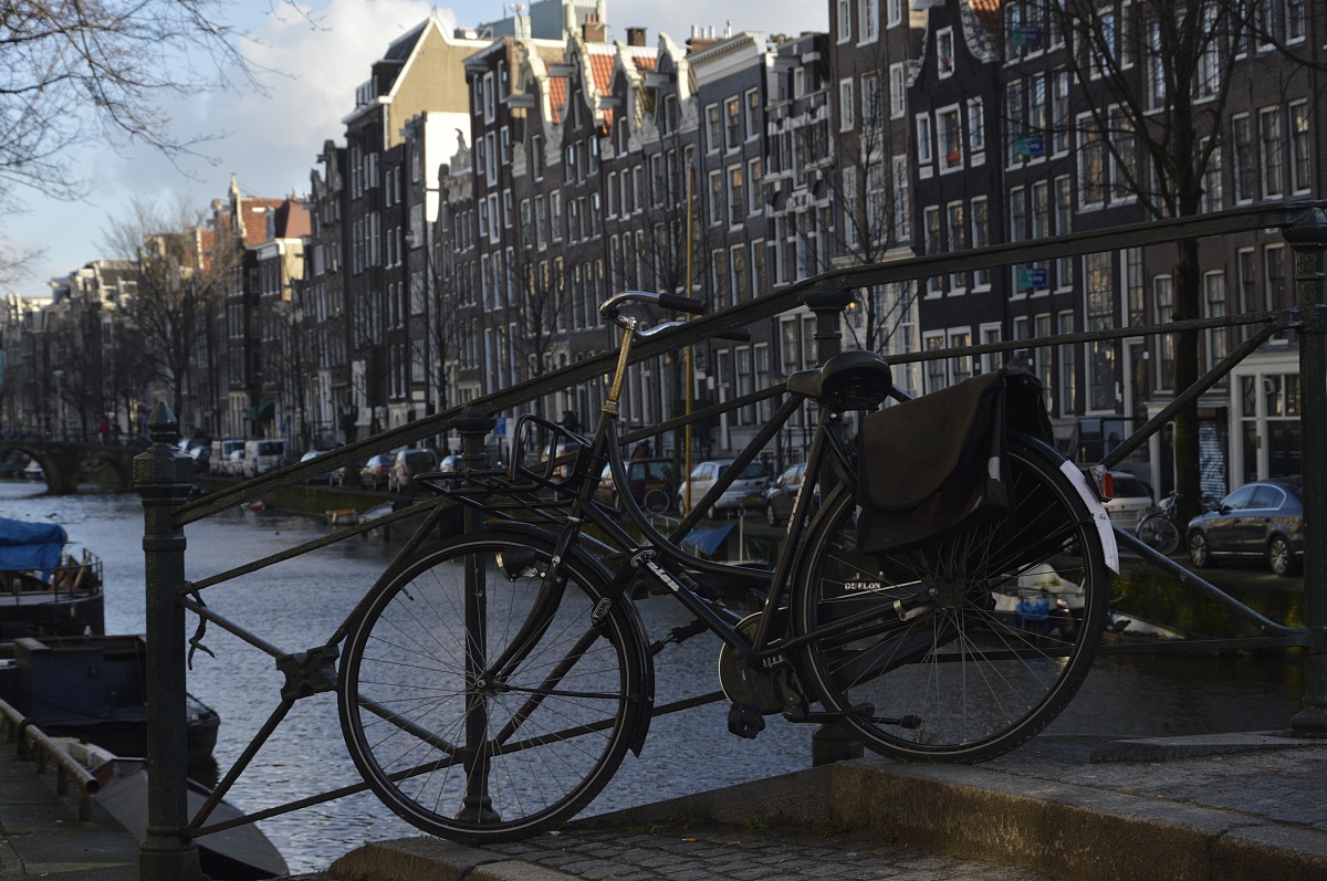Between the canals of Amsterdam
