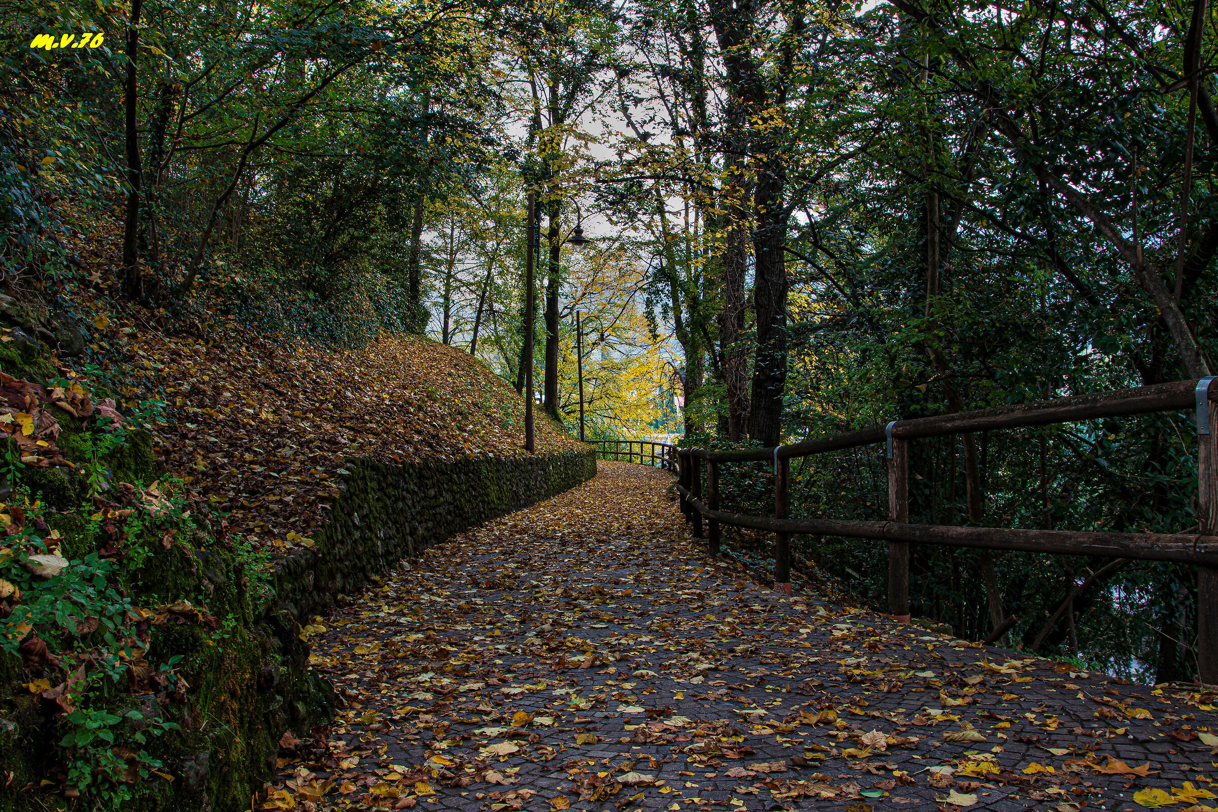 Autunno a Schio...