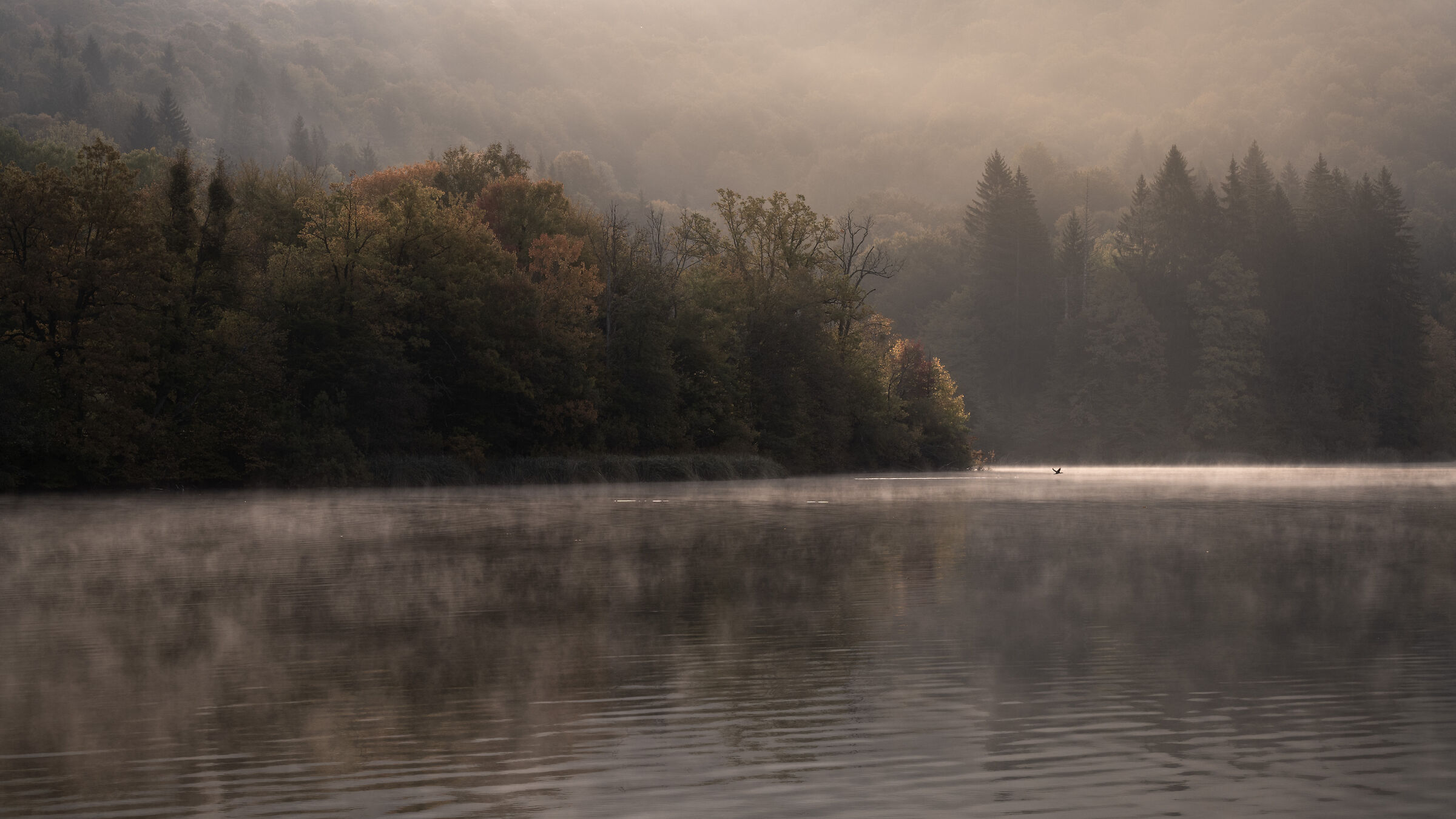 L'inizio di una dura giornata.
