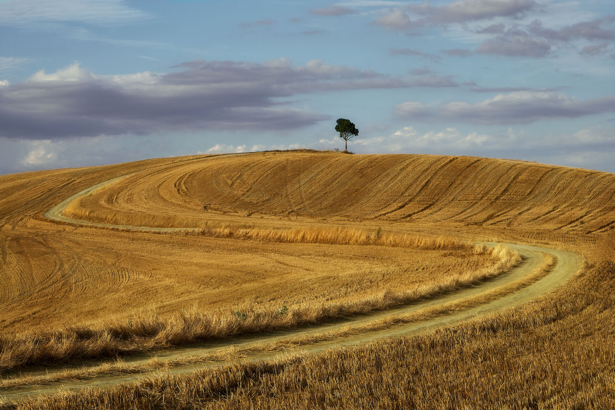 Crete Senesi