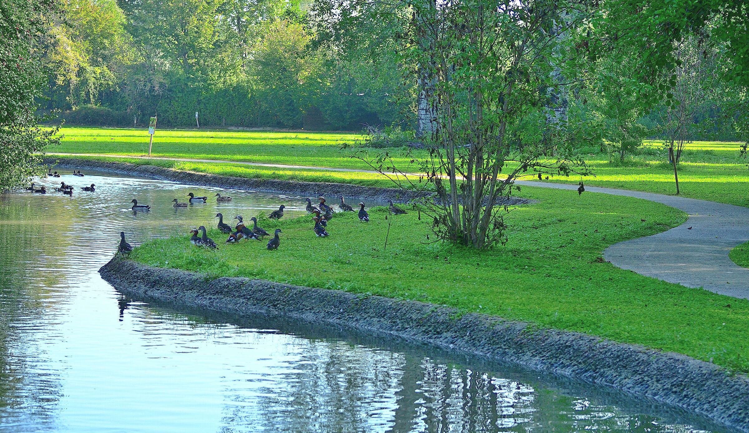 Centro Cicogne Racconigi...