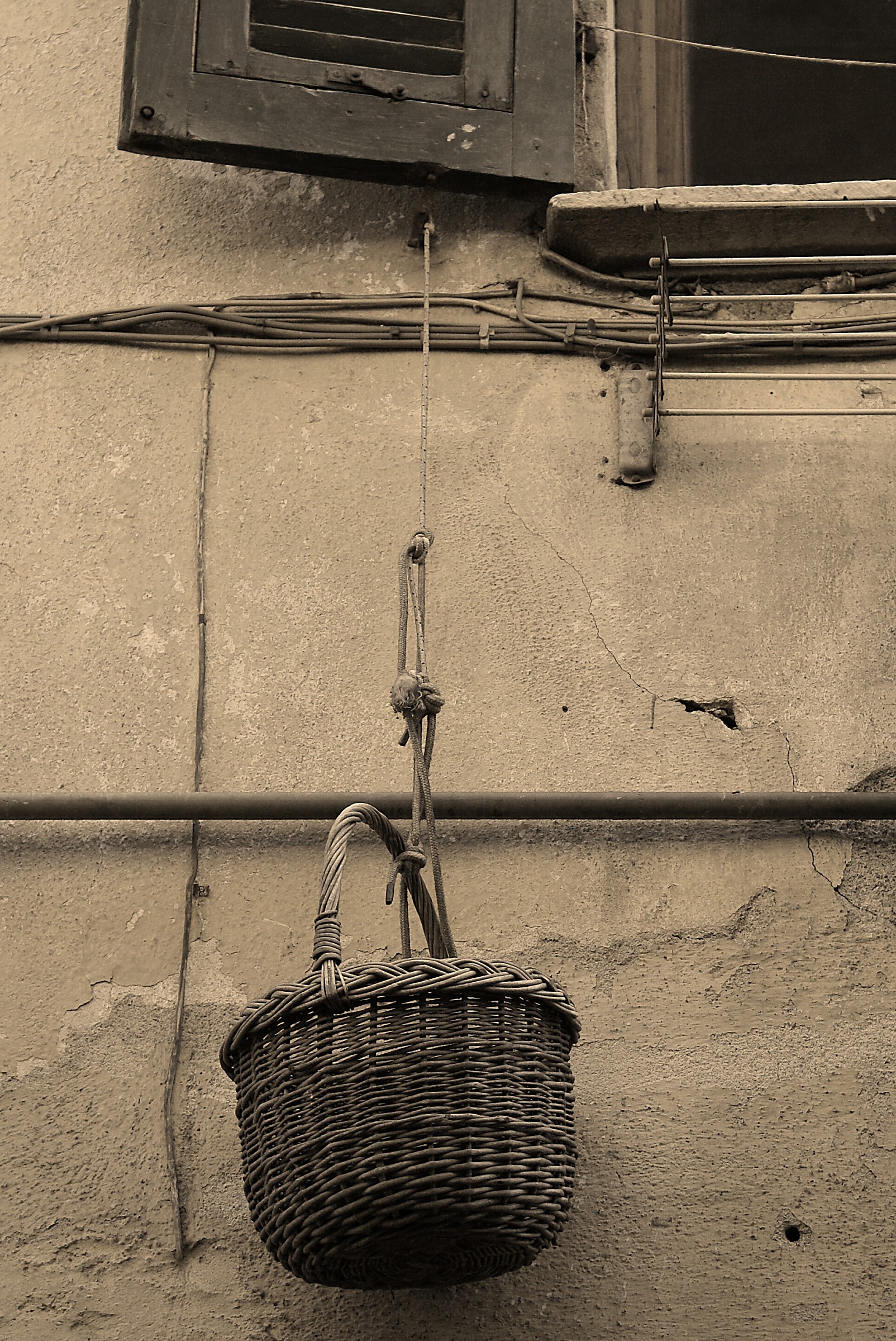 The basket for shopping