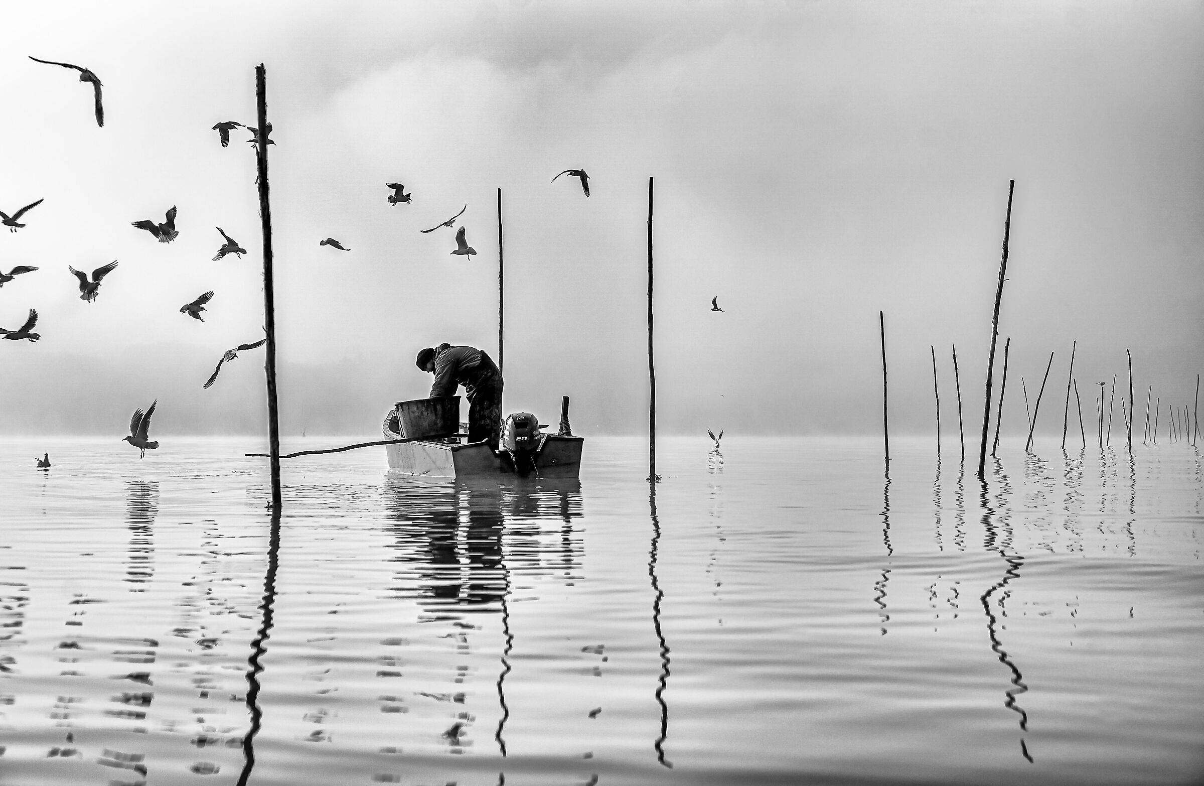 " A pescare la Luce "