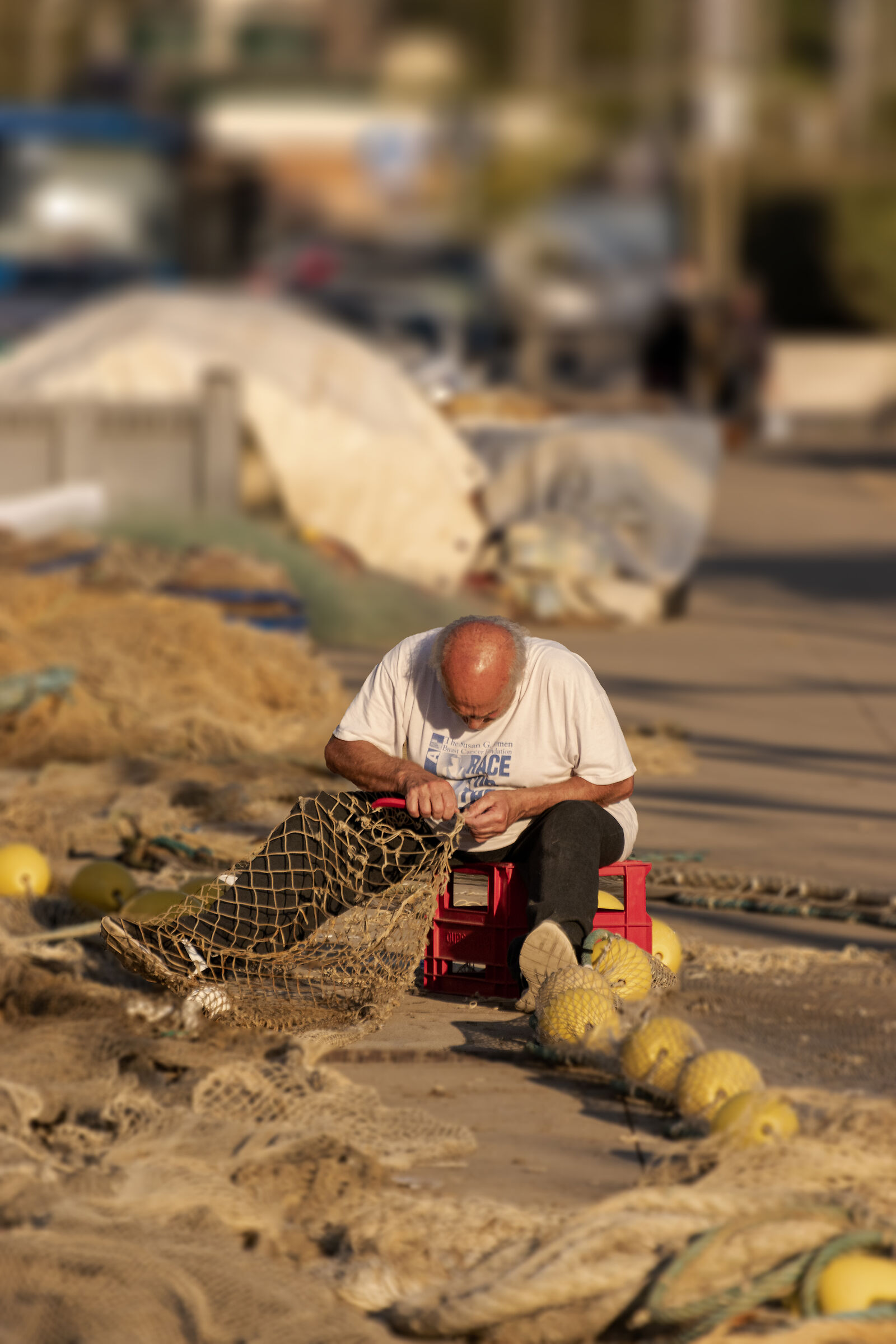 Il pescatore - Fiumicino