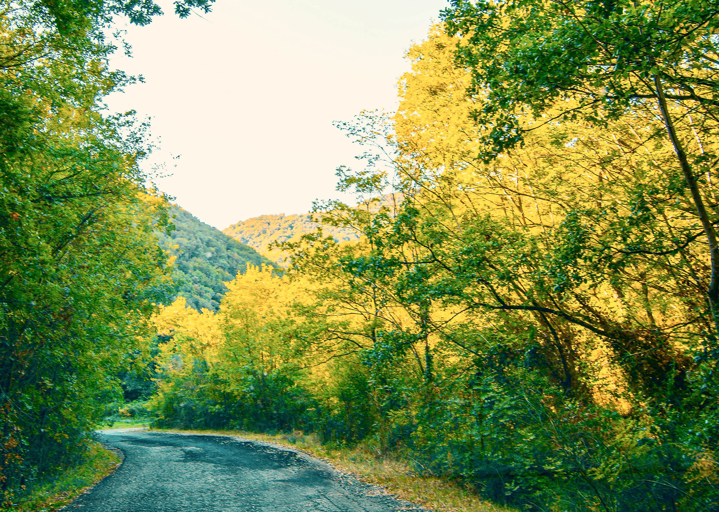 I colori dell'autunno nel Lazio
